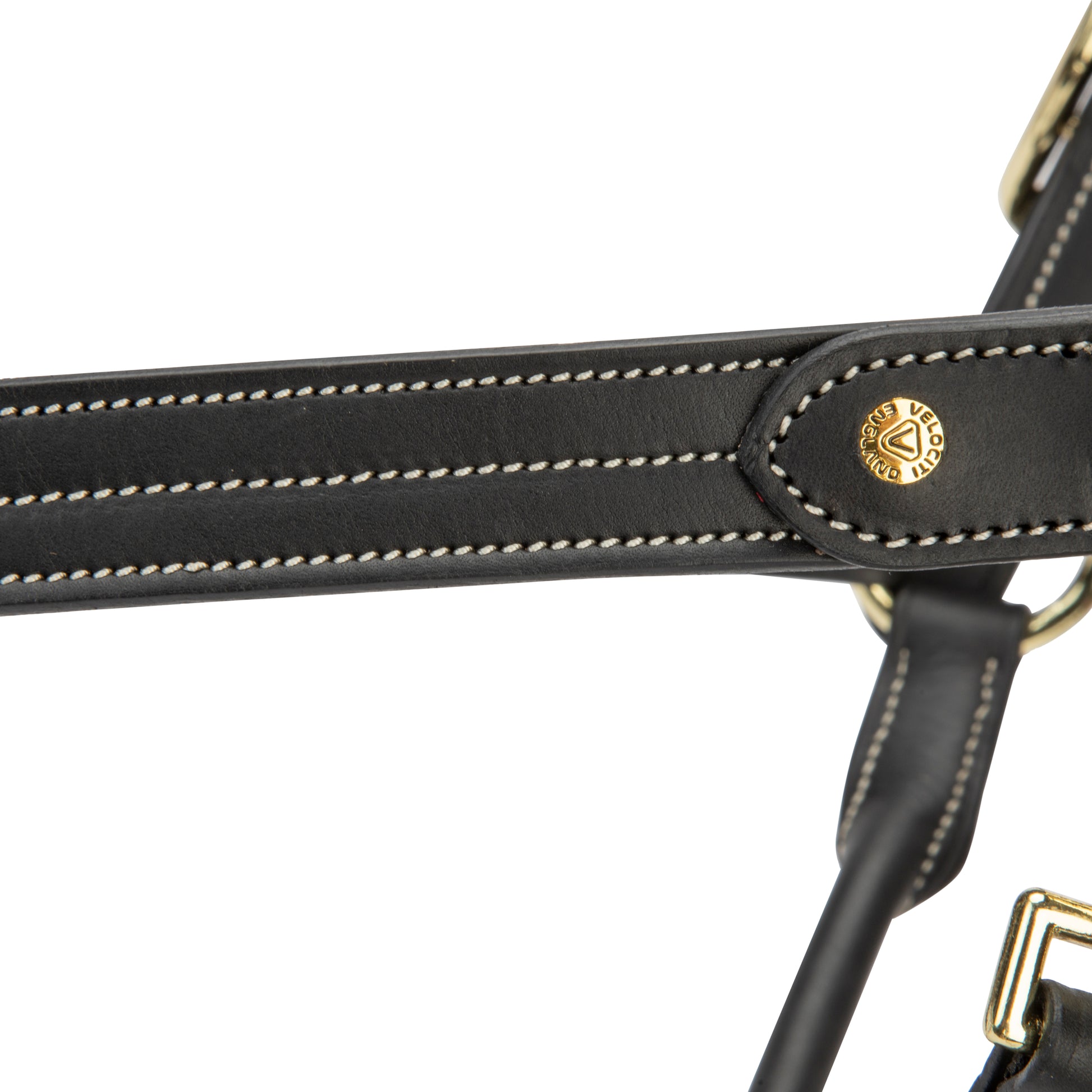 Velociti Lusso Girona Leather Halter-Horse Halters-Pegasus-Havana-Pony-Evolution Equestrian Co.