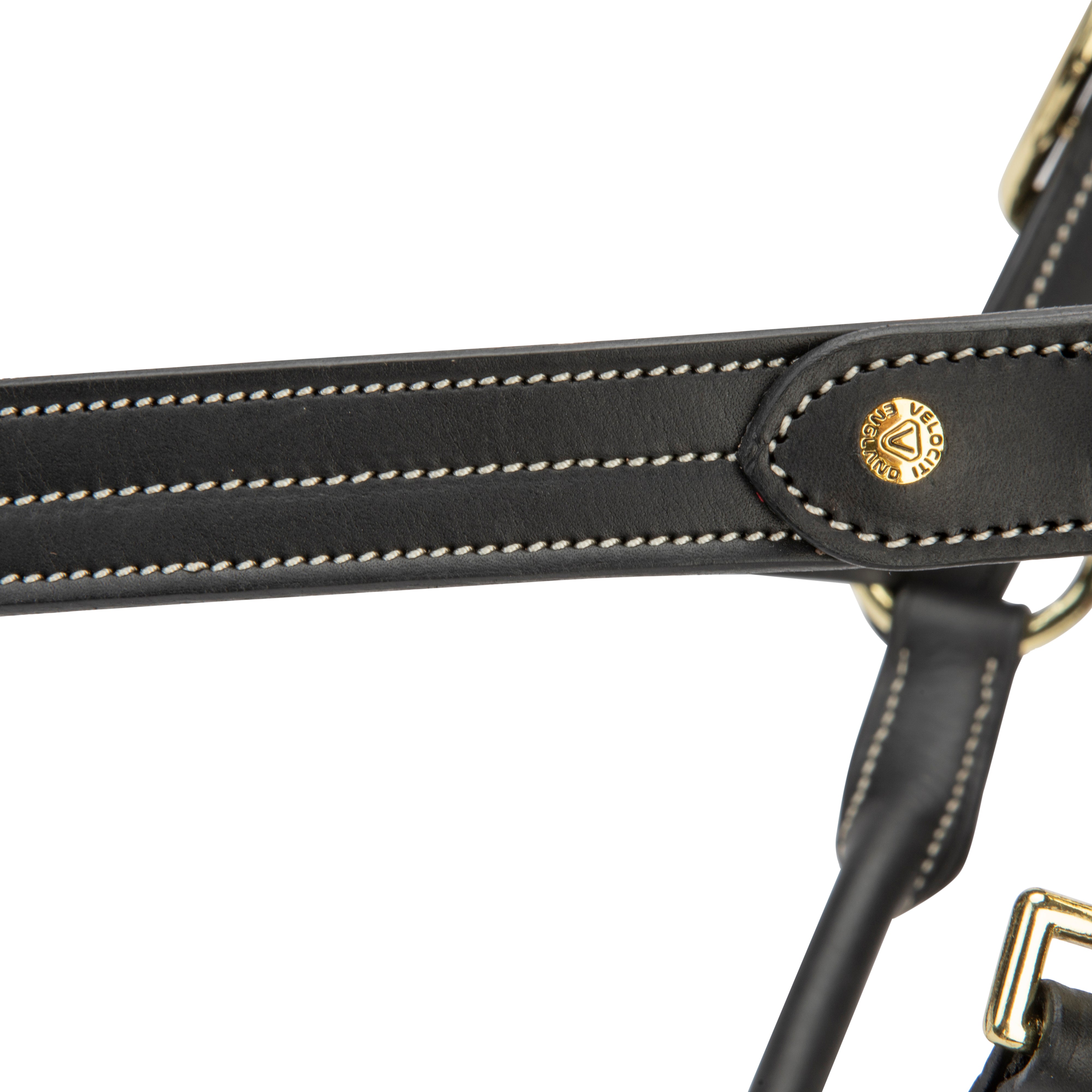 Velociti Lusso Girona Leather Halter-Horse Halters-Pegasus-Havana-Pony-Evolution Equestrian Co.
