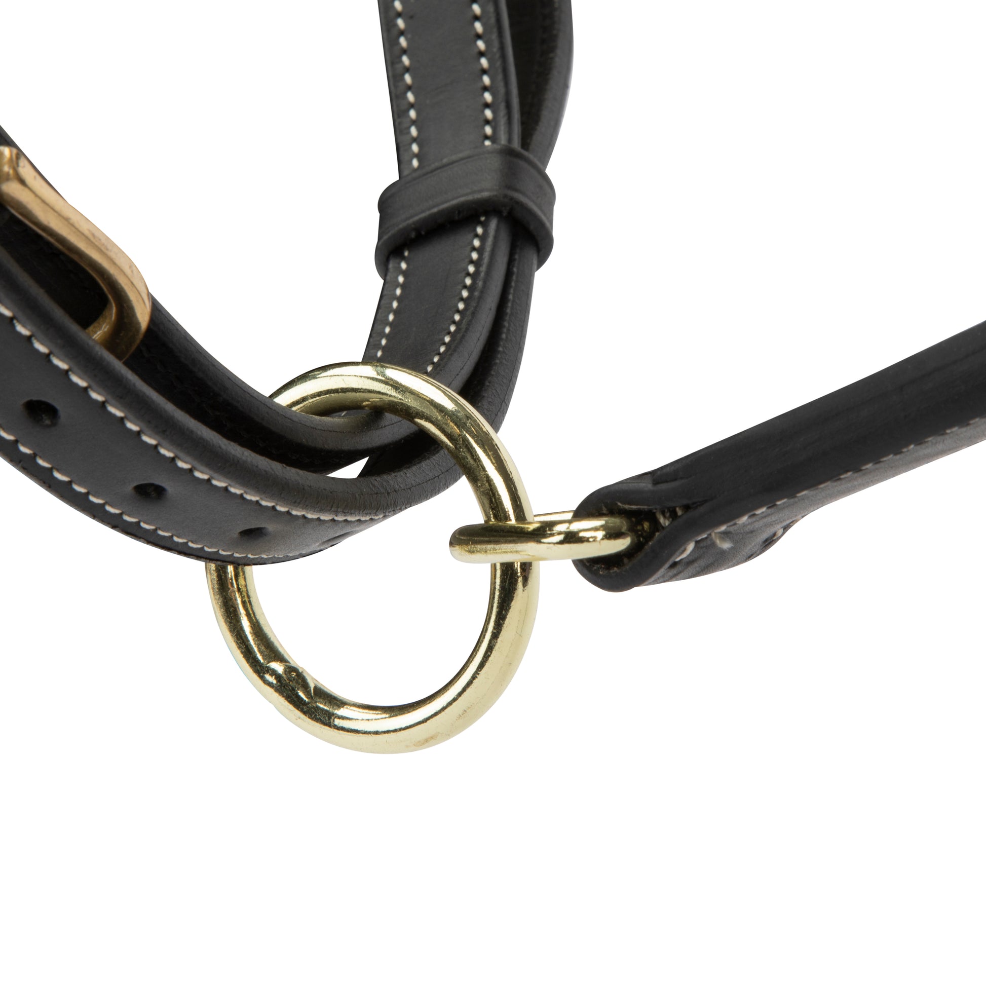 Velociti Lusso Girona Leather Halter-Horse Halters-Pegasus-Havana-Pony-Evolution Equestrian Co.