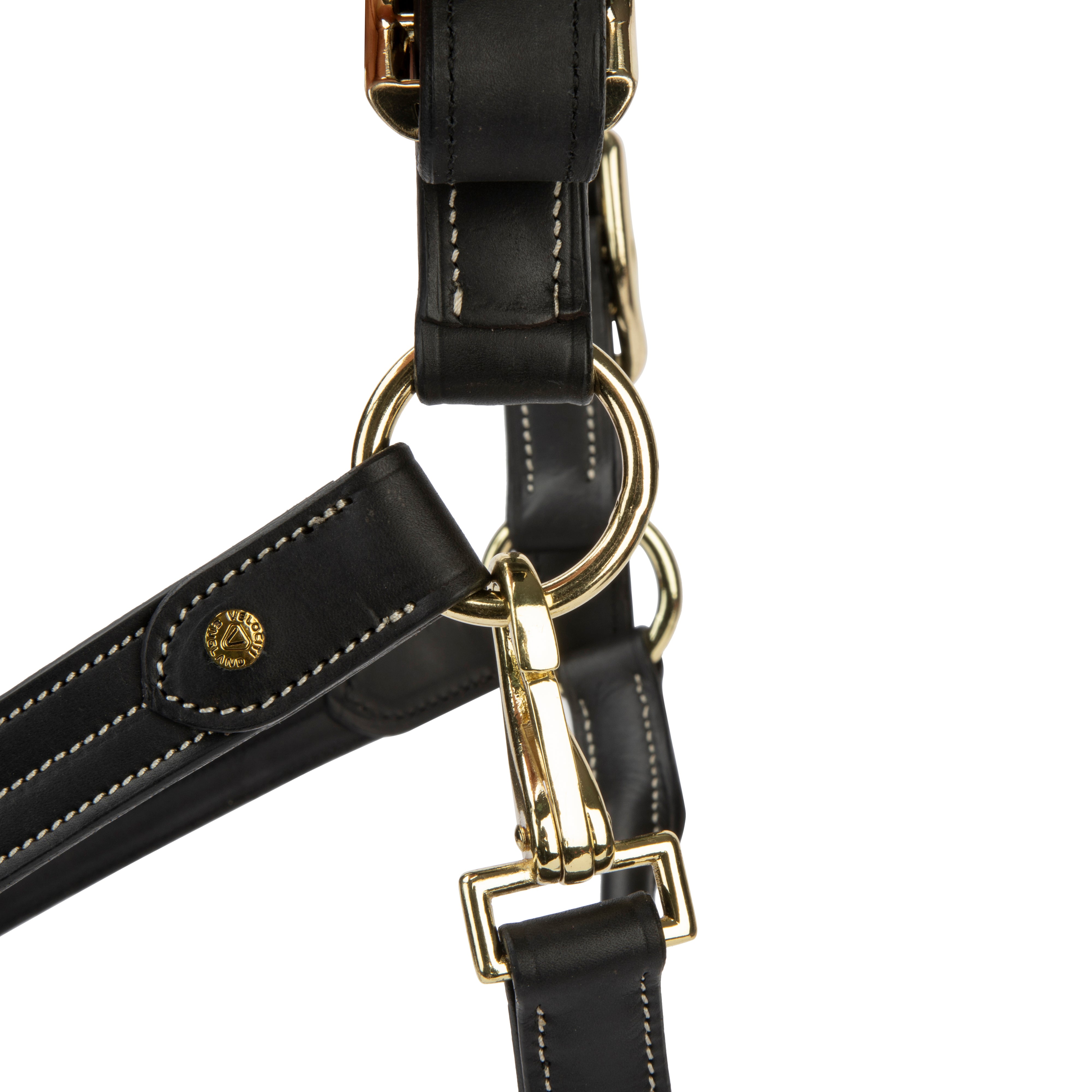 Velociti Lusso Girona Leather Halter-Horse Halters-Pegasus-Havana-Pony-Evolution Equestrian Co.