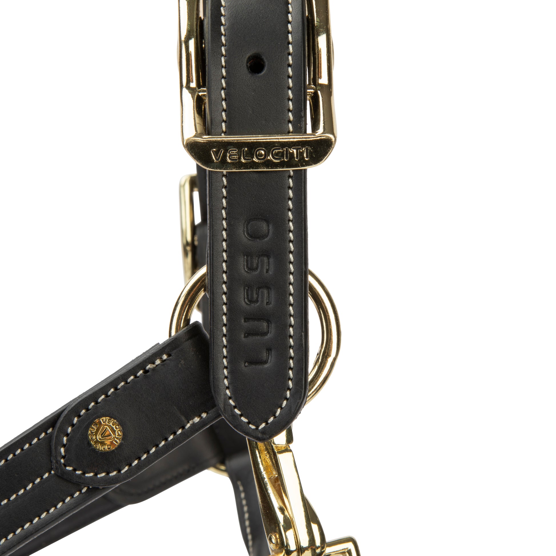 Velociti Lusso Girona Leather Halter-Horse Halters-Pegasus-Havana-Pony-Evolution Equestrian Co.