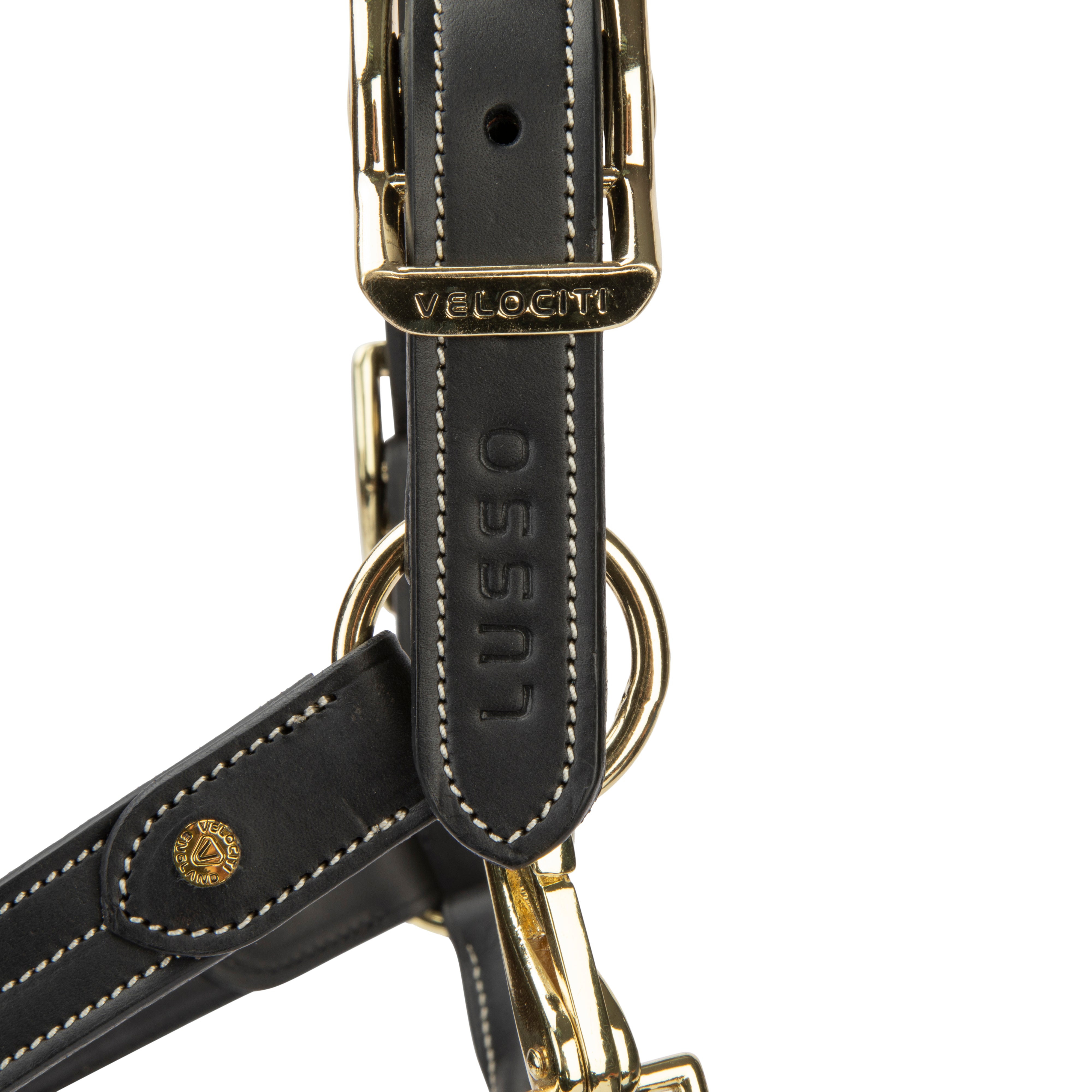 Velociti Lusso Girona Leather Halter-Horse Halters-Pegasus-Havana-Pony-Evolution Equestrian Co.