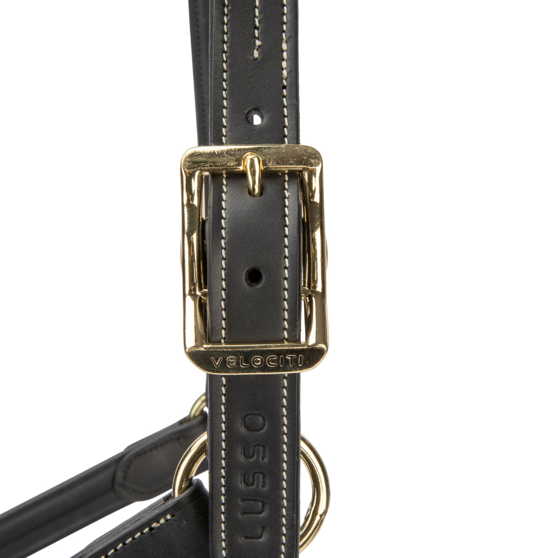 Velociti Lusso Girona Leather Halter-Horse Halters-Pegasus-Havana-Pony-Evolution Equestrian Co.