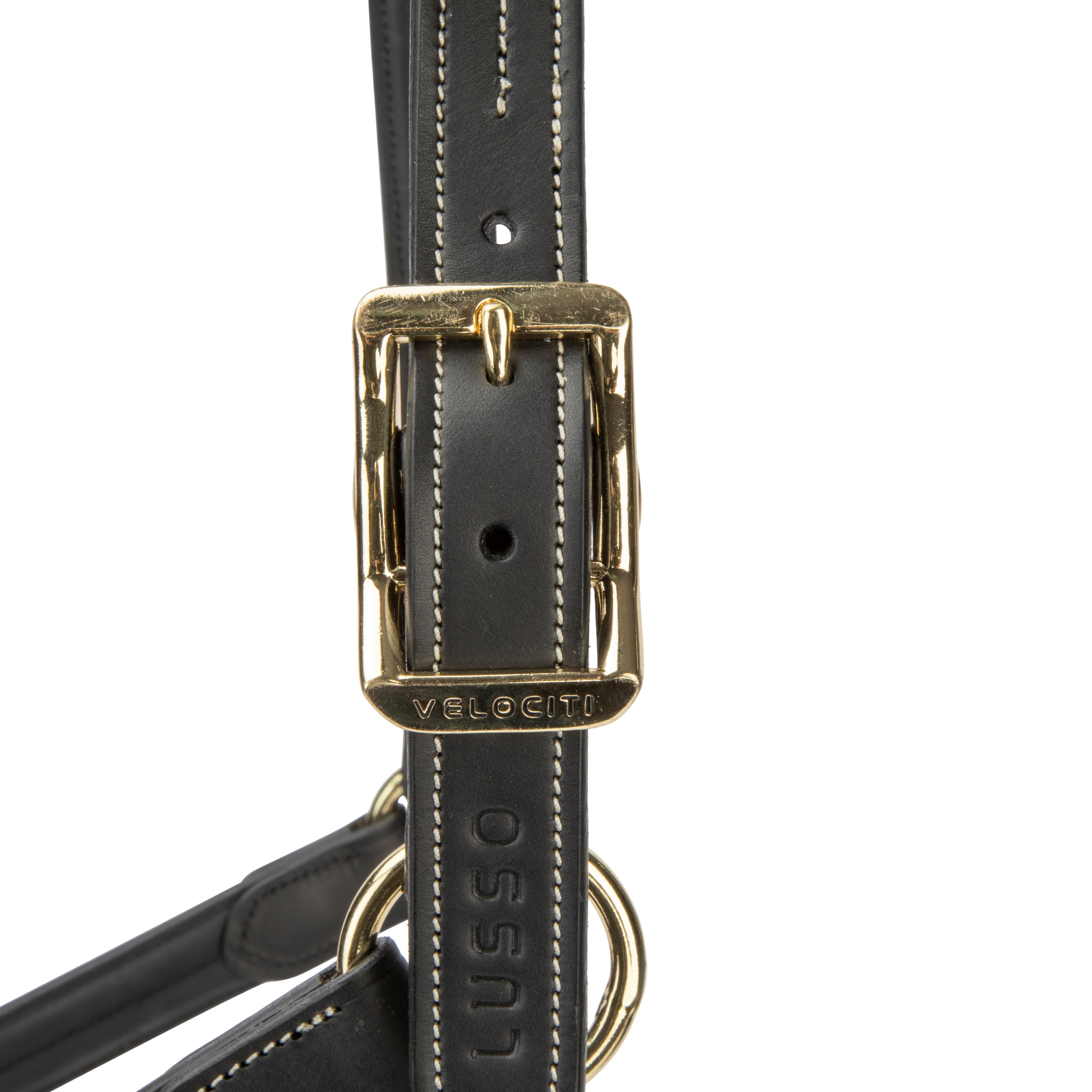 Velociti Lusso Girona Leather Halter-Horse Halters-Pegasus-Havana-Pony-Evolution Equestrian Co.