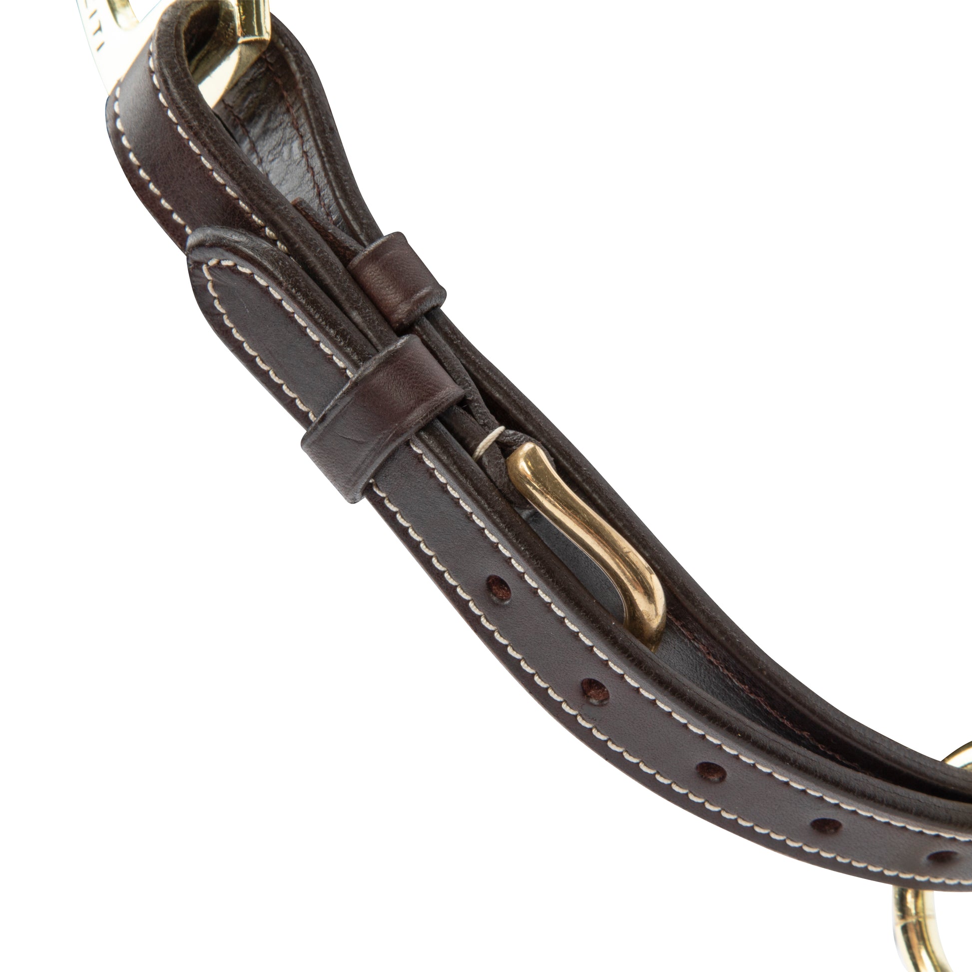Velociti Lusso Girona Leather Halter-Horse Halters-Pegasus-Havana-Pony-Evolution Equestrian Co.