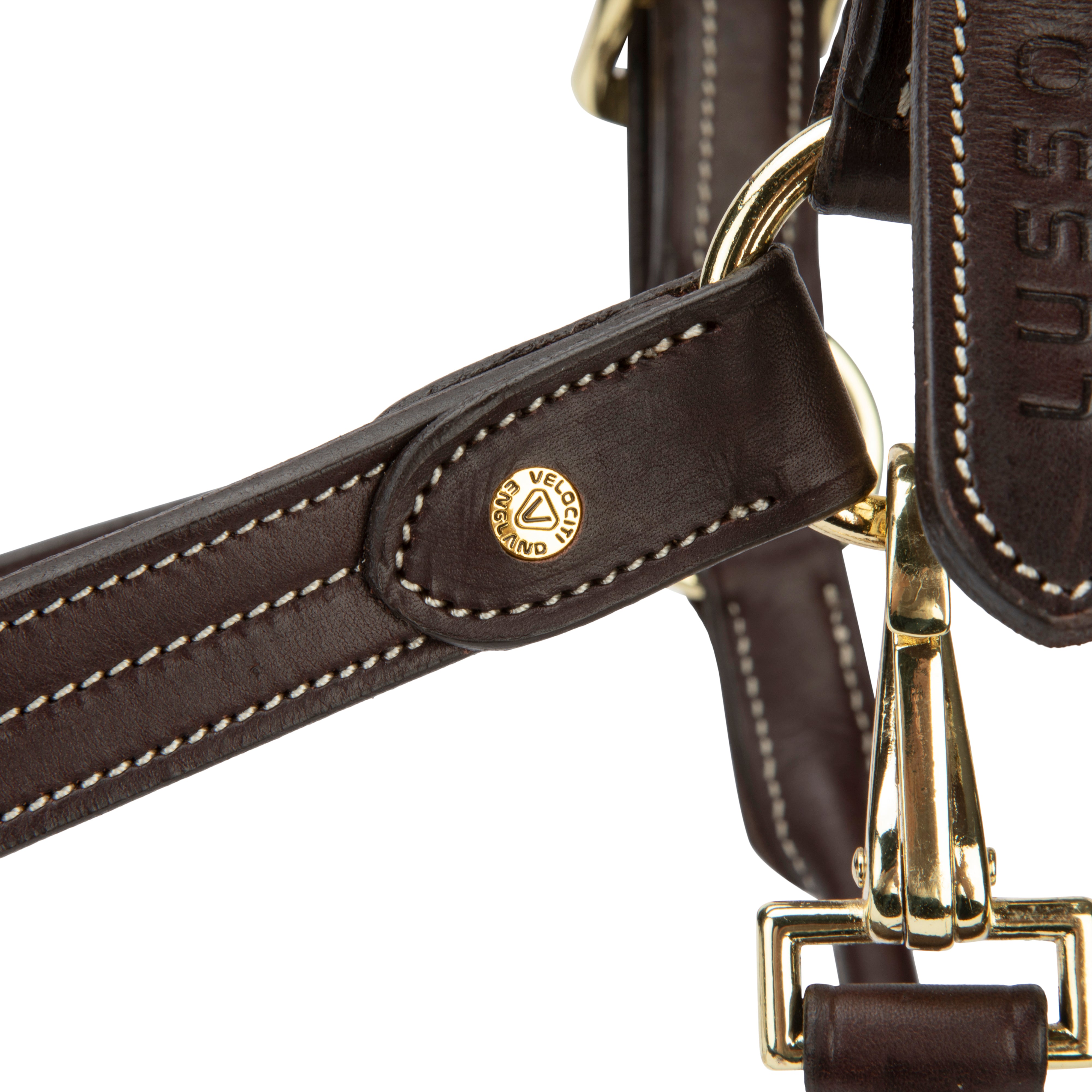 Velociti Lusso Girona Leather Halter-Horse Halters-Pegasus-Havana-Pony-Evolution Equestrian Co.