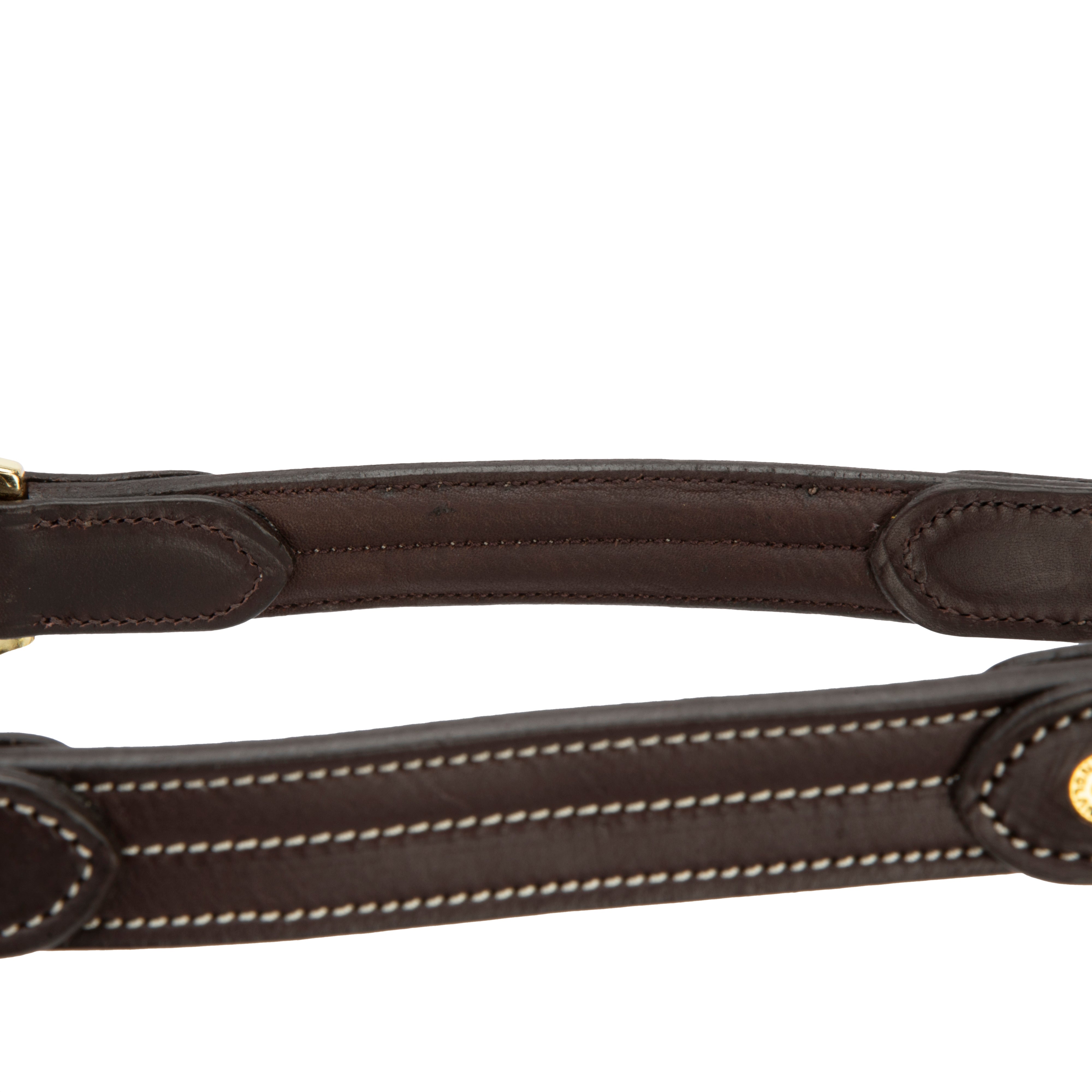 Velociti Lusso Girona Leather Halter-Horse Halters-Pegasus-Havana-Pony-Evolution Equestrian Co.
