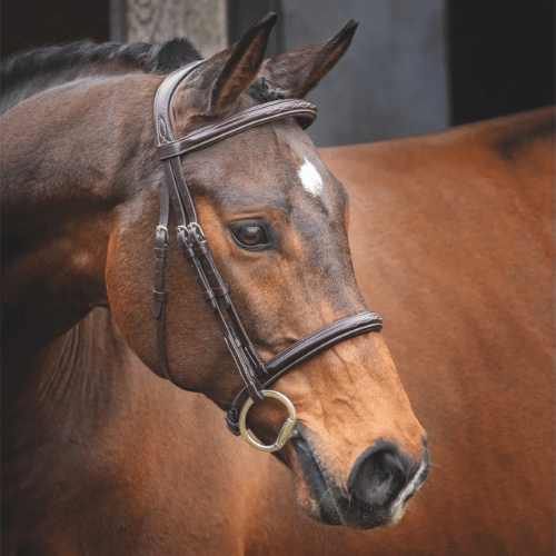 Velociti Lusso Hunter Cavesson Bridle-Bridle-Pegasus-Cob-Evolution Equestrian Co.