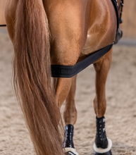 Load image into Gallery viewer, Waldhausen Body Bandage-Horse Training-Can Pro Equestrian Supply-Evolution Equestrian Co.
