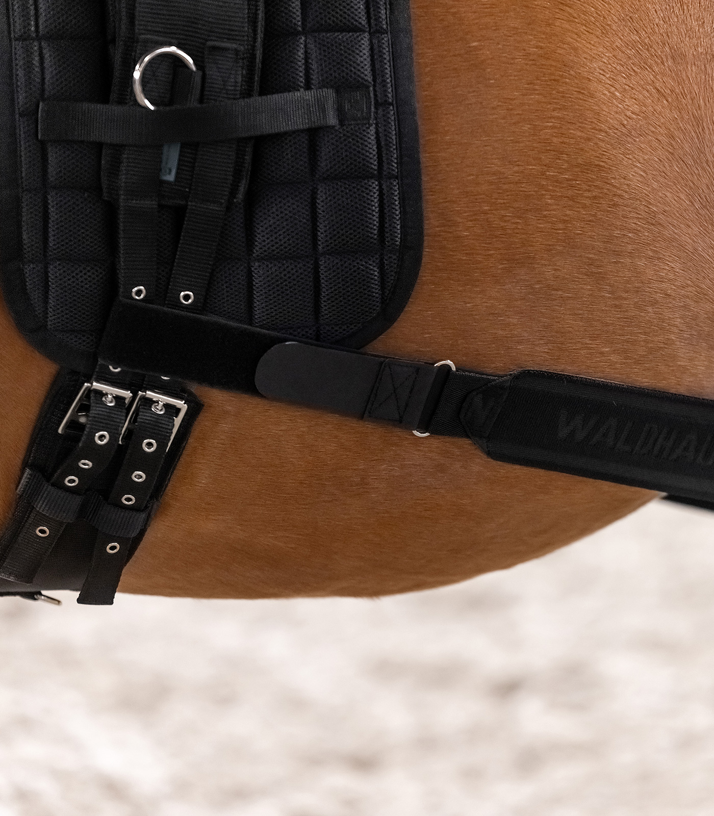 One Equestrian Flankbeschermer body bandage 175cm – Horse Riders Classics One Equestrian Flankbeschermer body bandage 175cm – Horse Riders Classics