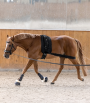 Waldhausen Body Bandage-Horse Training-Can Pro Equestrian Supply-Evolution Equestrian Co.