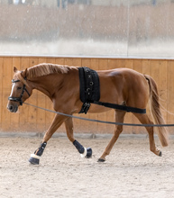 Load image into Gallery viewer, Waldhausen Body Bandage-Horse Training-Can Pro Equestrian Supply-Evolution Equestrian Co.
