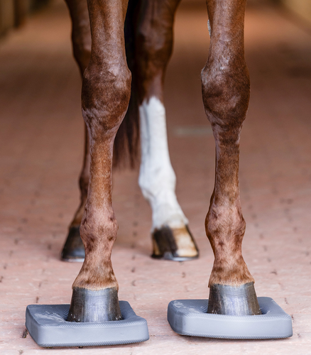 Waldhausen Health + Care Balance Pads-Horse Health-Can Pro Equestrian Supply-Evolution Equestrian Co.