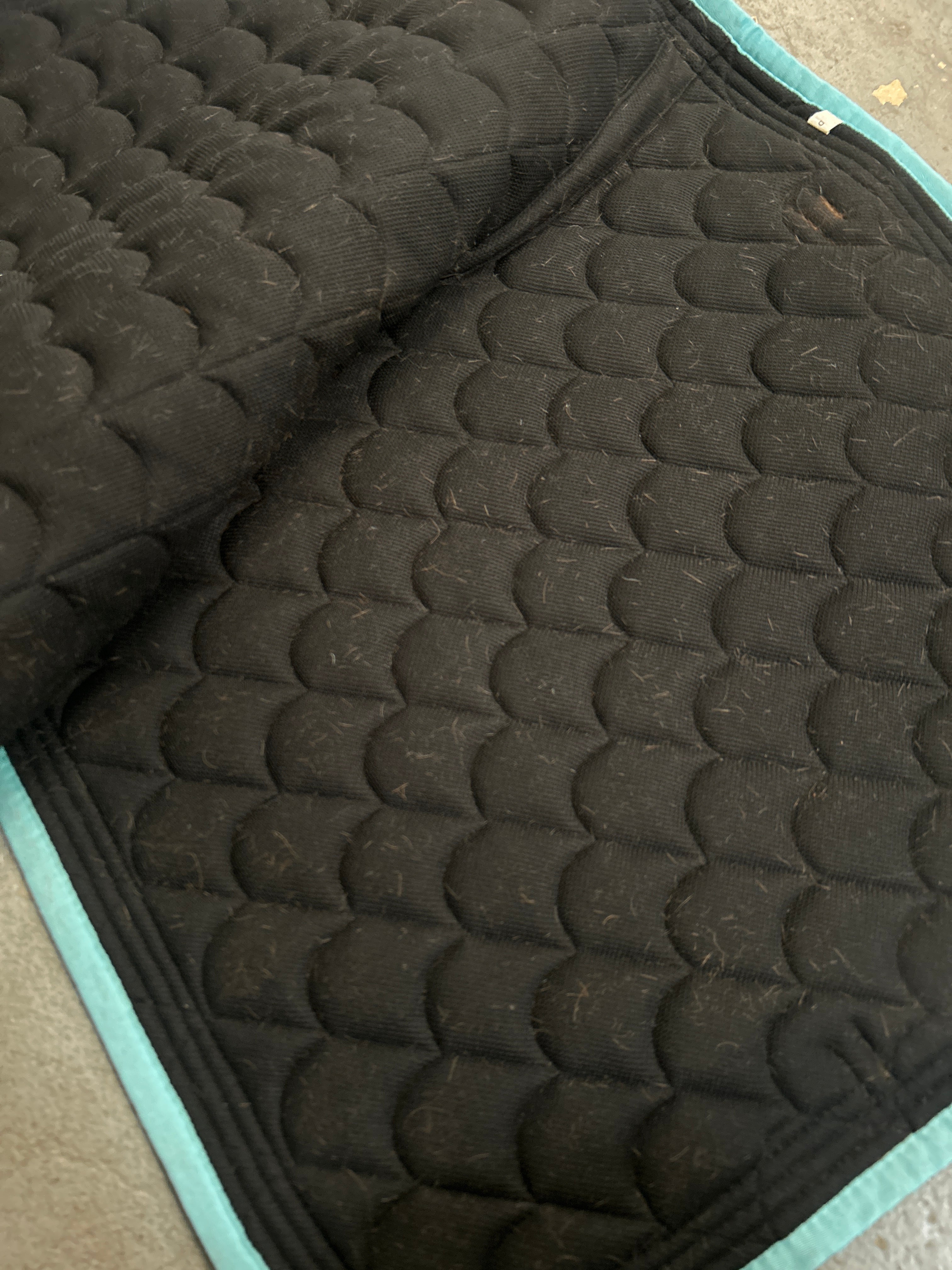 Waldhausen Navy Dressage Saddle Pad with Blue Trims-Dressage Saddle Pad-Consignment-Evolution Equestrian Co.