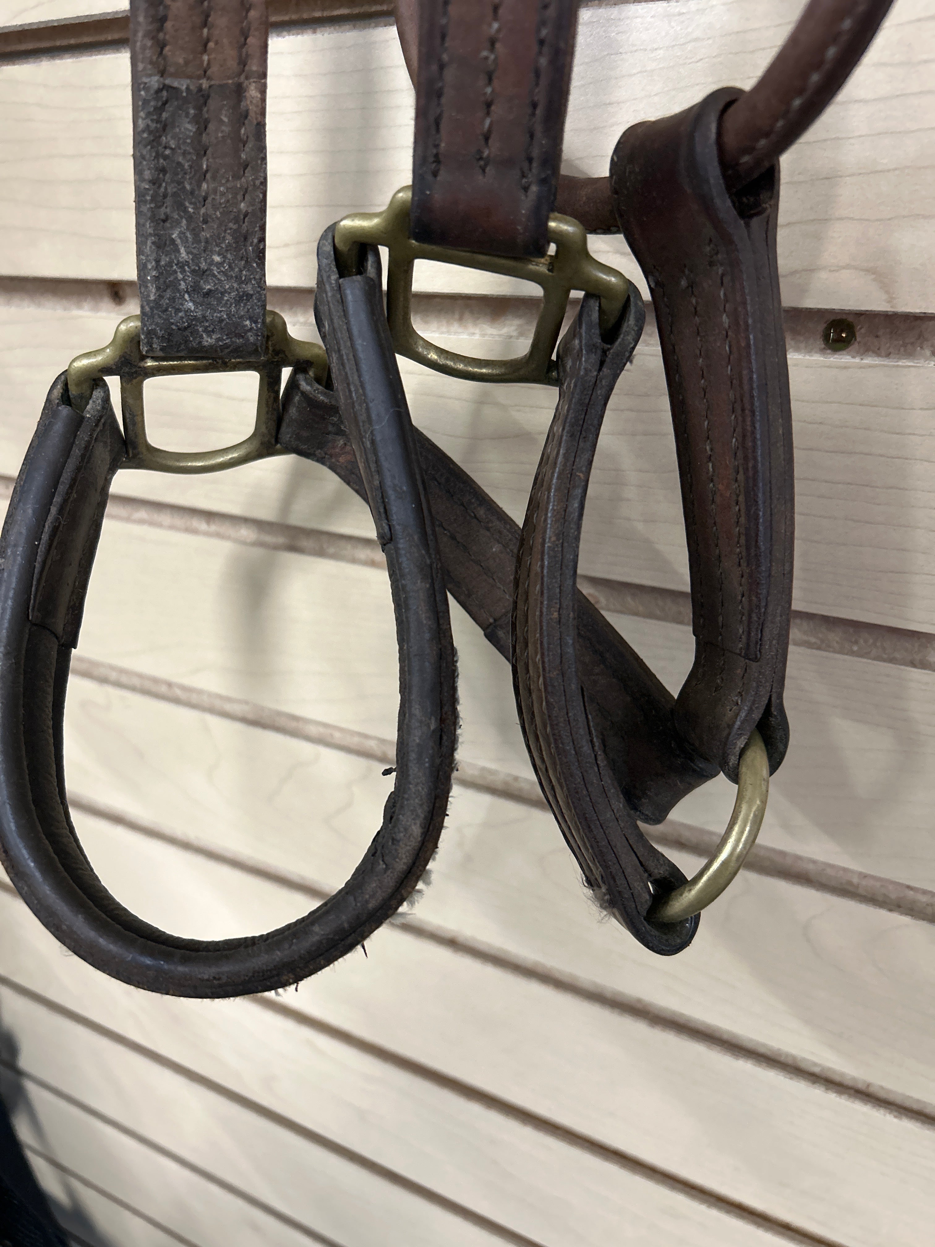 Walsh Warmblood Leather Halter-Halter-Consignment-Evolution Equestrian Co.