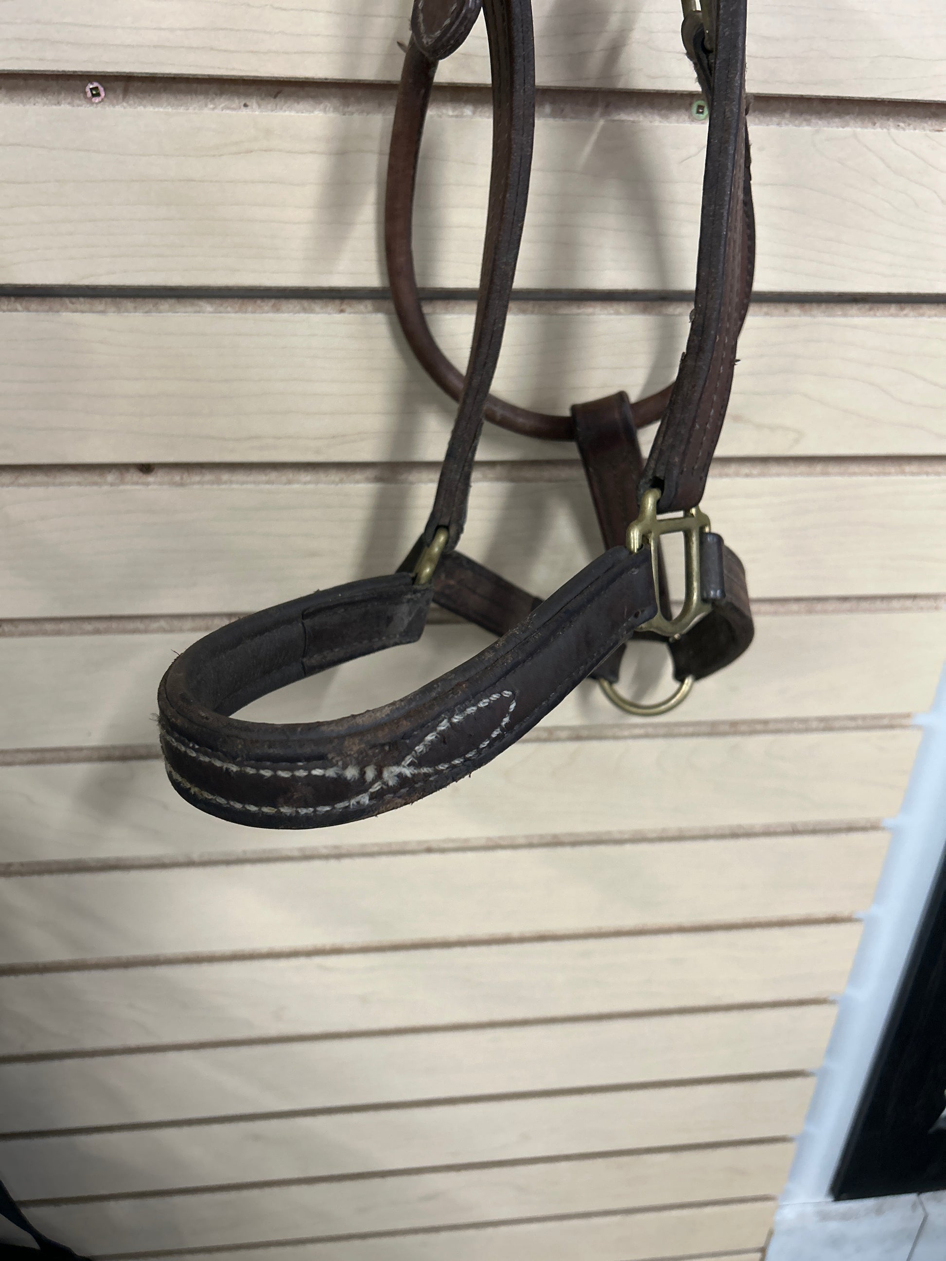 Walsh Warmblood Leather Halter-Halter-Consignment-Evolution Equestrian Co.