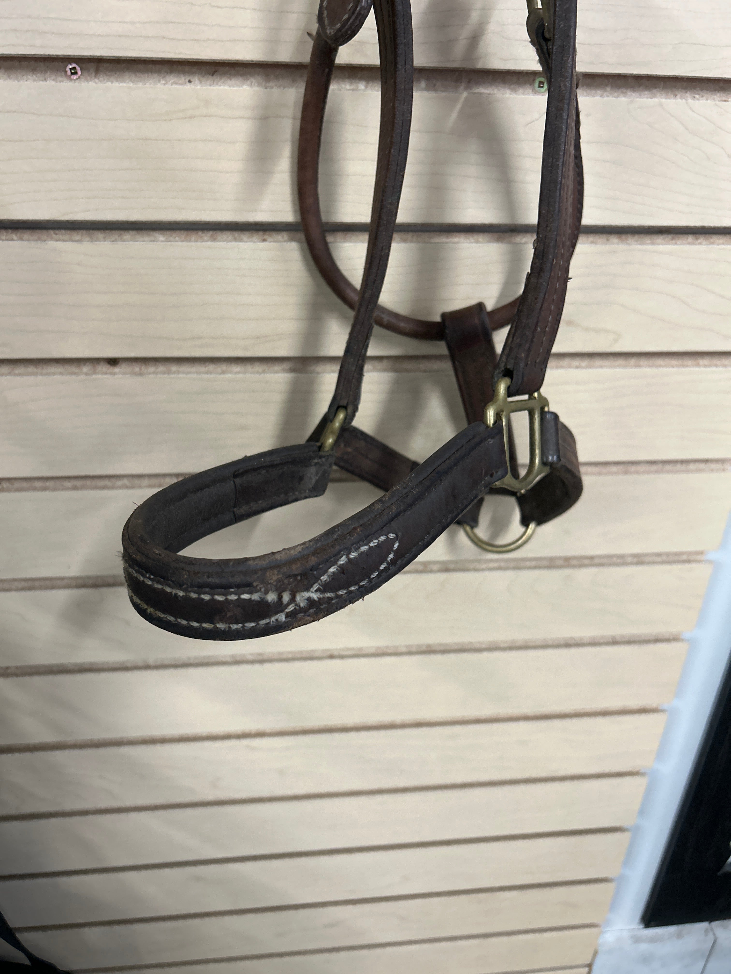 Walsh Warmblood Leather Halter-Halter-Consignment-Evolution Equestrian Co.