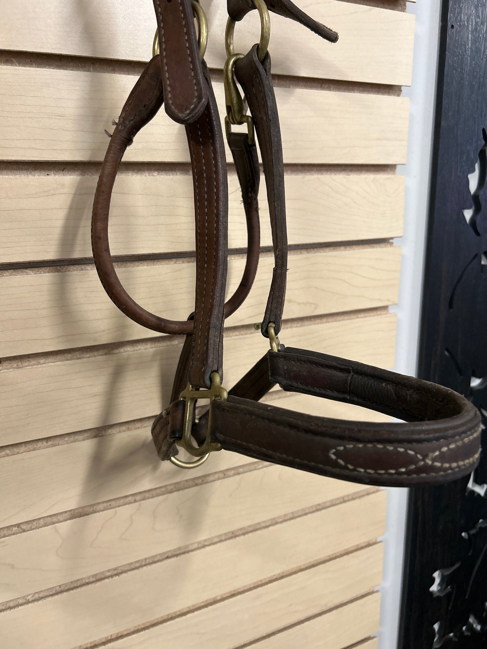 Walsh Warmblood Leather Halter-Halter-Consignment-Evolution Equestrian Co.