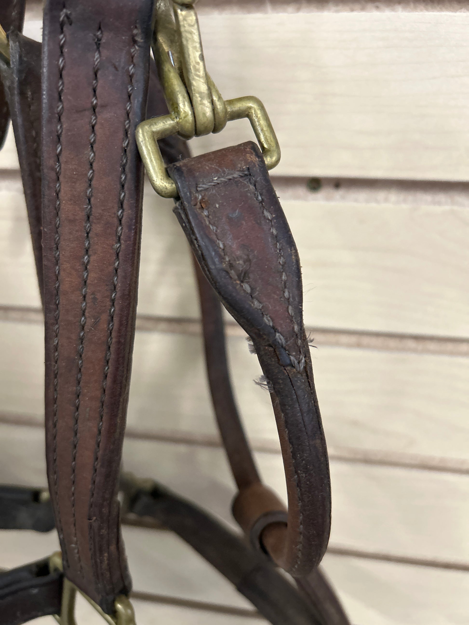 Walsh Warmblood Leather Halter-Halter-Consignment-Evolution Equestrian Co.