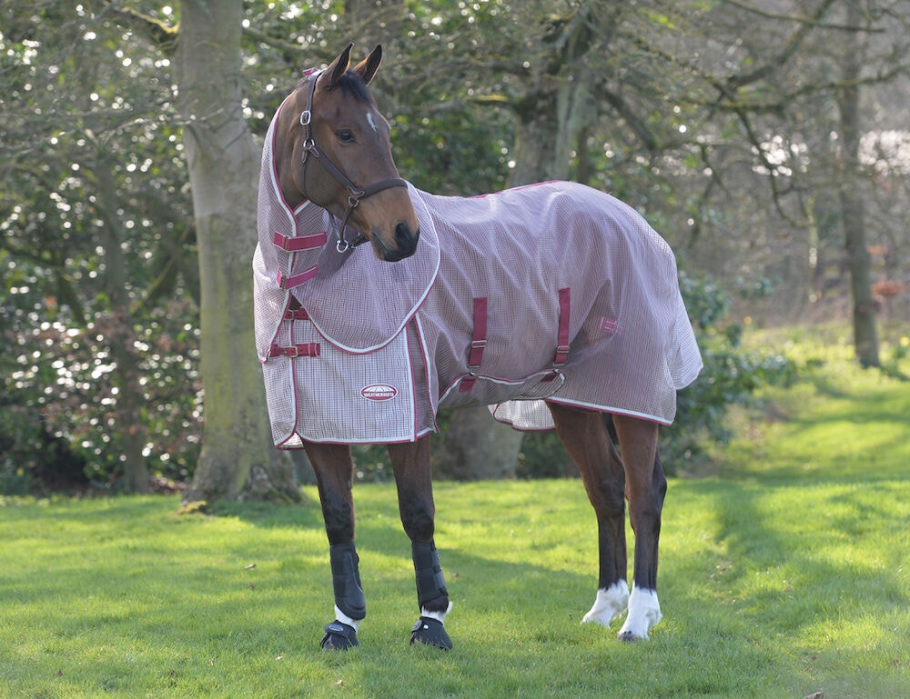 Weatherbeeta ComFiTec Ripshield Plus With Belly Wrap Detach A Neck 75"-Fly Sheet-Consignment-Evolution Equestrian Co.