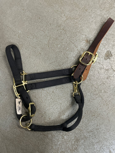 Weaver Large Horse Halter with Leather Crown-Halter-Consignment-Evolution Equestrian Co.