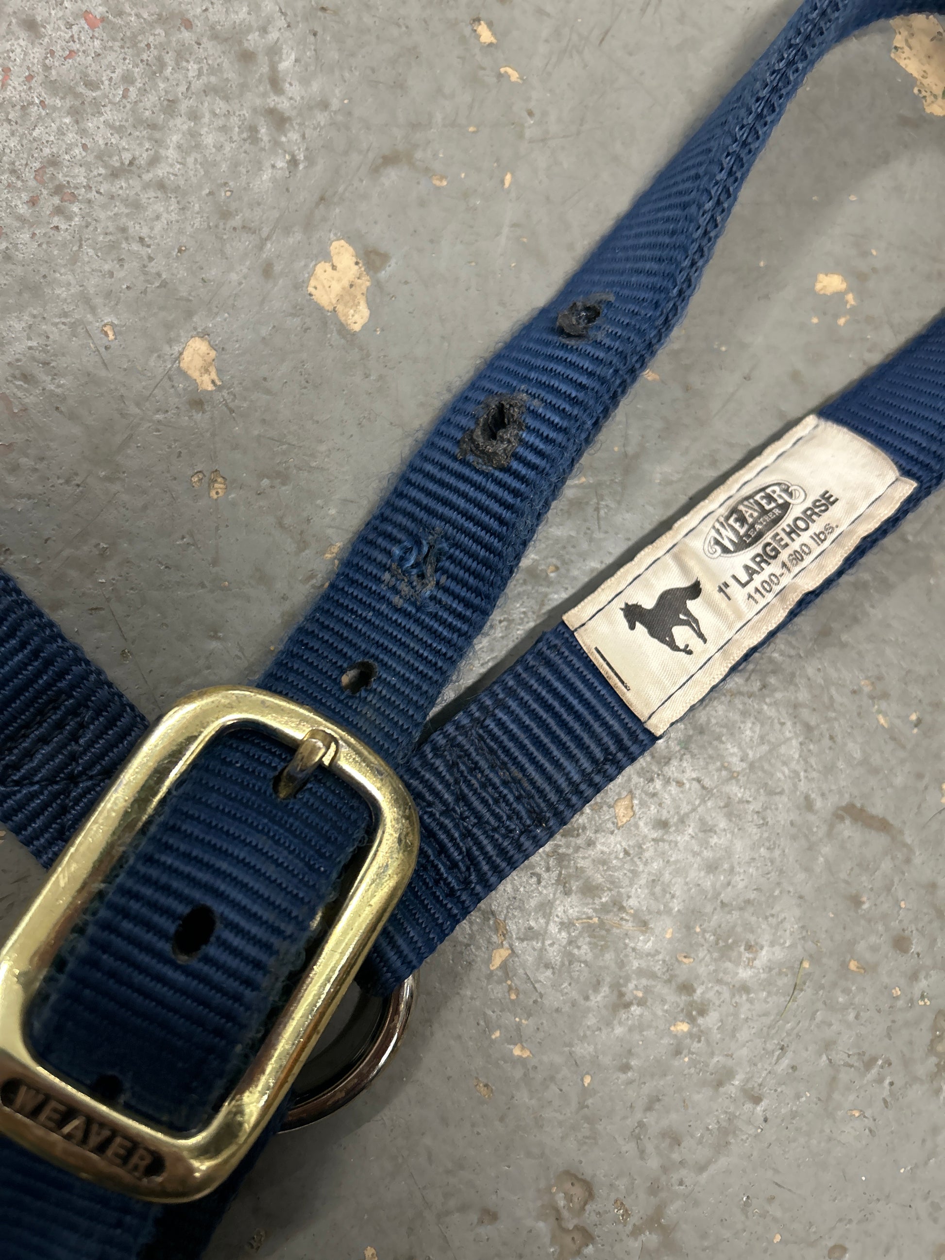 Weaver Navy Halter Large Horse-Halter-Consignment-Evolution Equestrian Co.