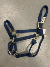 Load image into Gallery viewer, Weaver Navy Halter Large Horse-Halter-Consignment-Evolution Equestrian Co.
