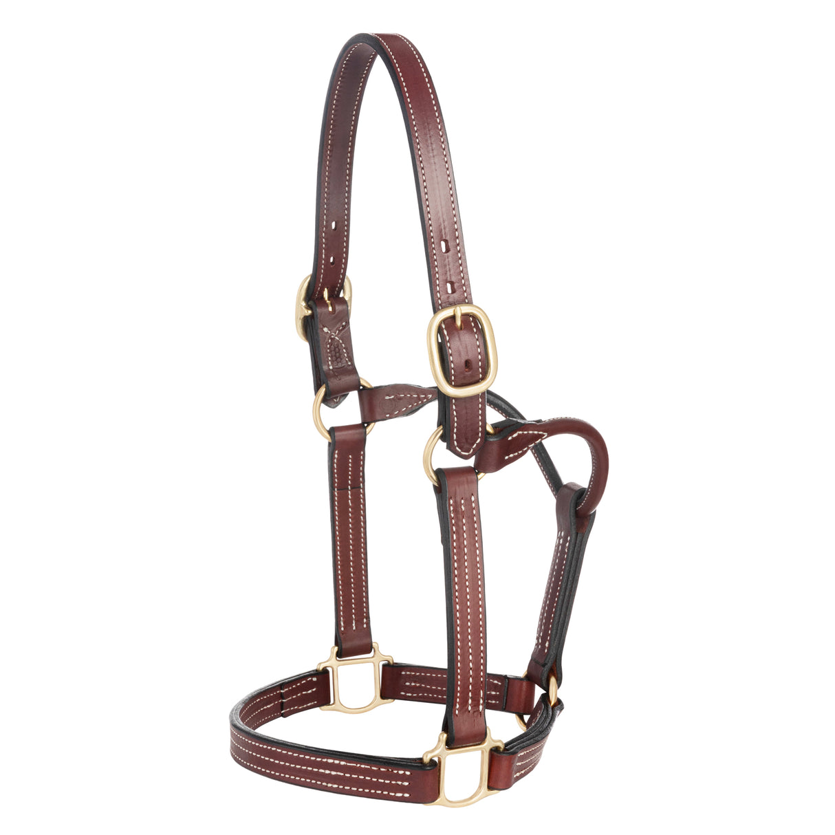 Weaver Thoroughbred Halter Horse-Horse Halters-Consignment-Evolution Equestrian Co.
