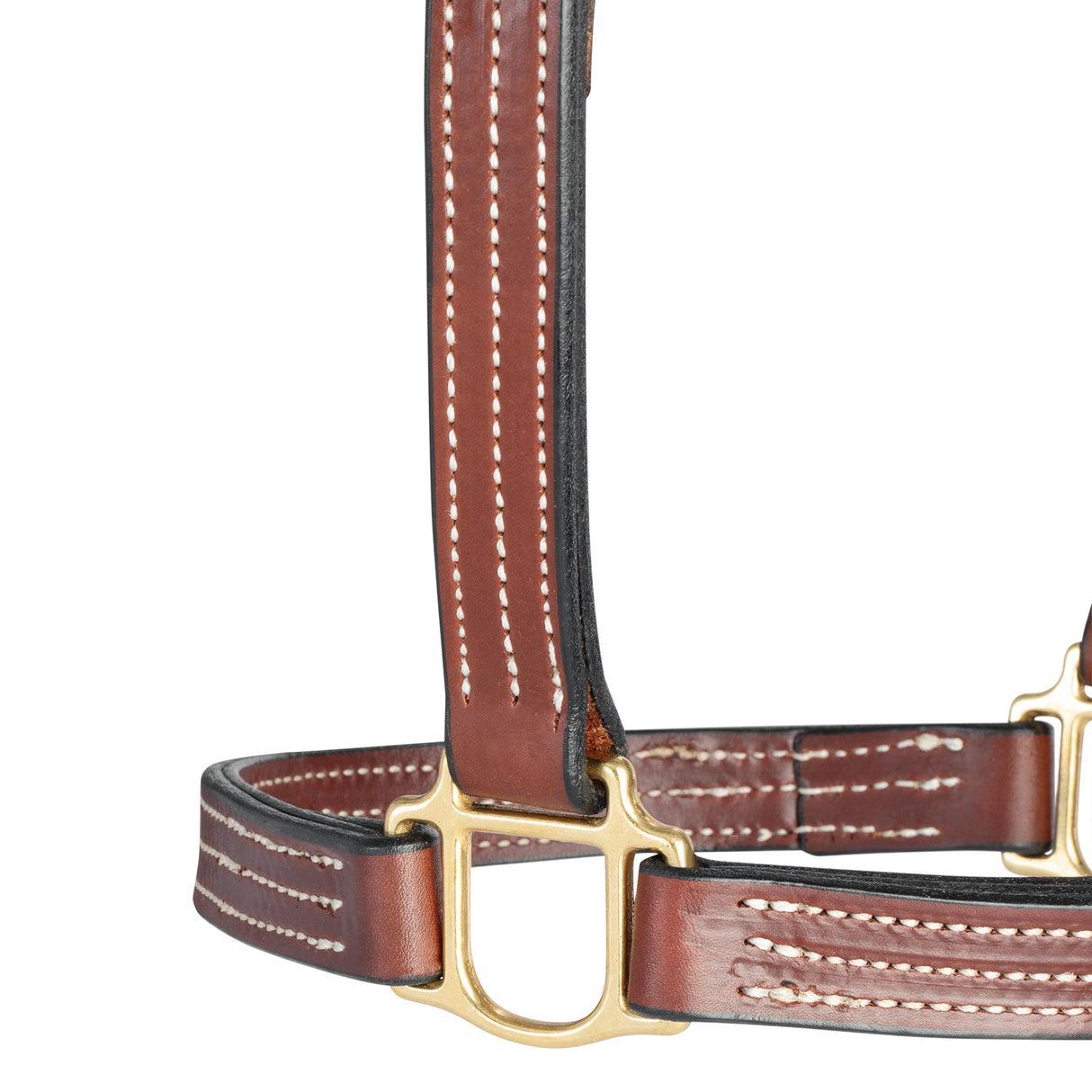 Weaver Thoroughbred Halter Horse-Horse Halters-Consignment-Evolution Equestrian Co.