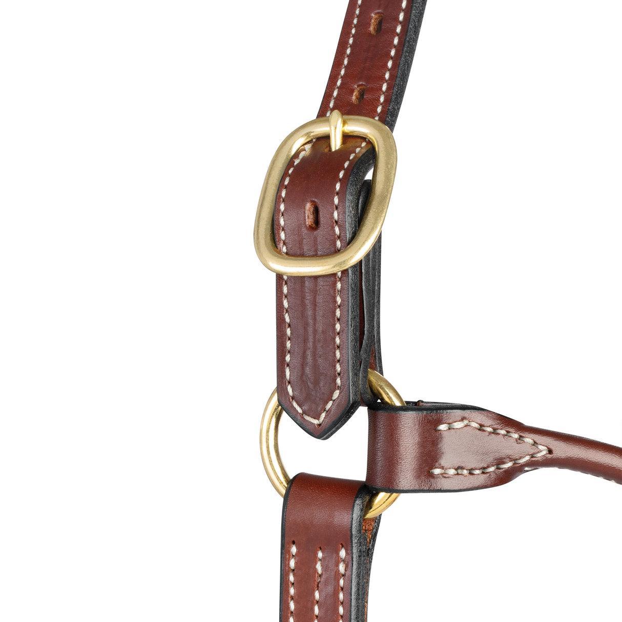 Weaver Thoroughbred Halter Horse-Horse Halters-Consignment-Evolution Equestrian Co.