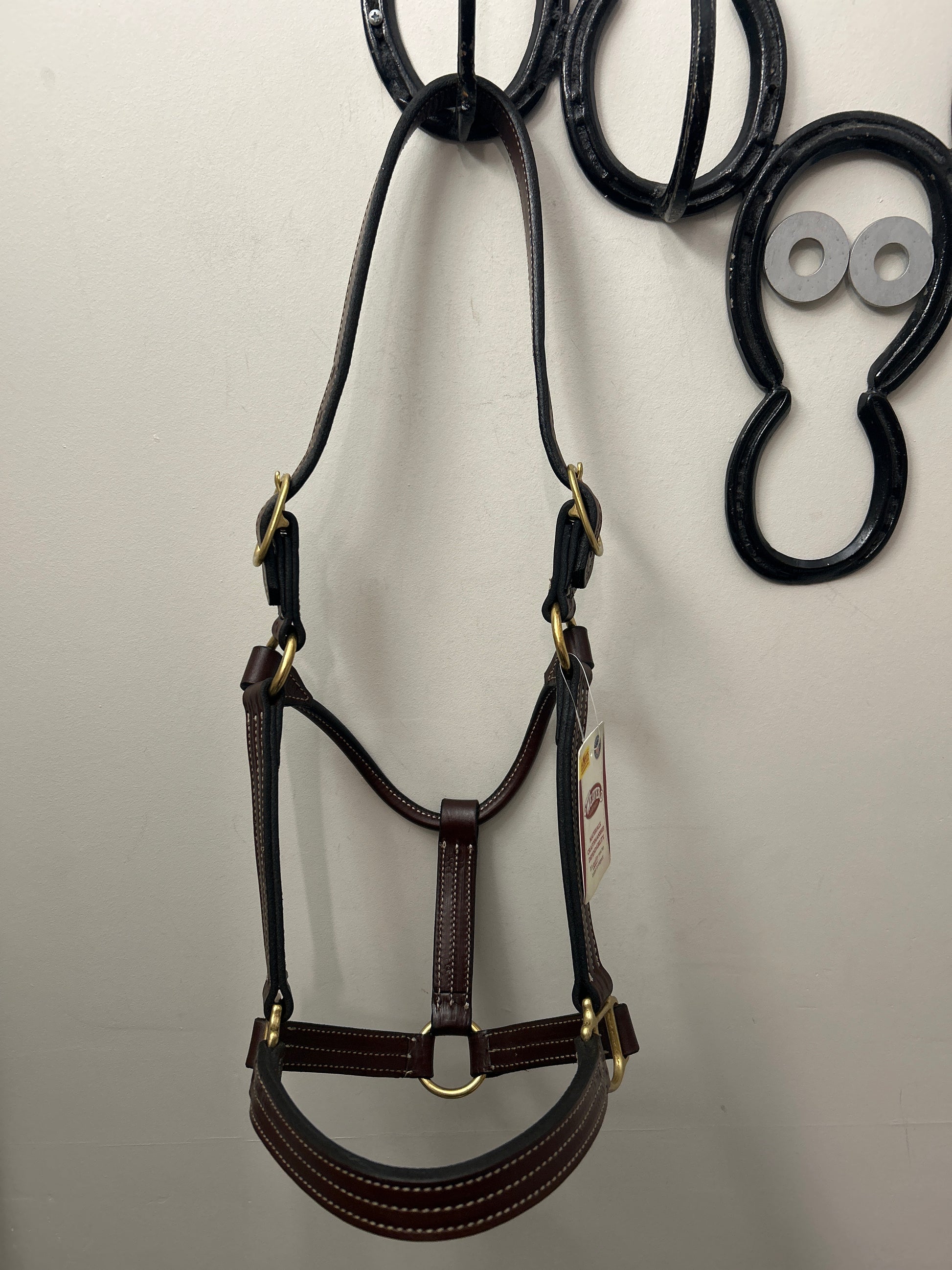 Weaver Thoroughbred Halter Horse-Horse Halters-Consignment-Evolution Equestrian Co.
