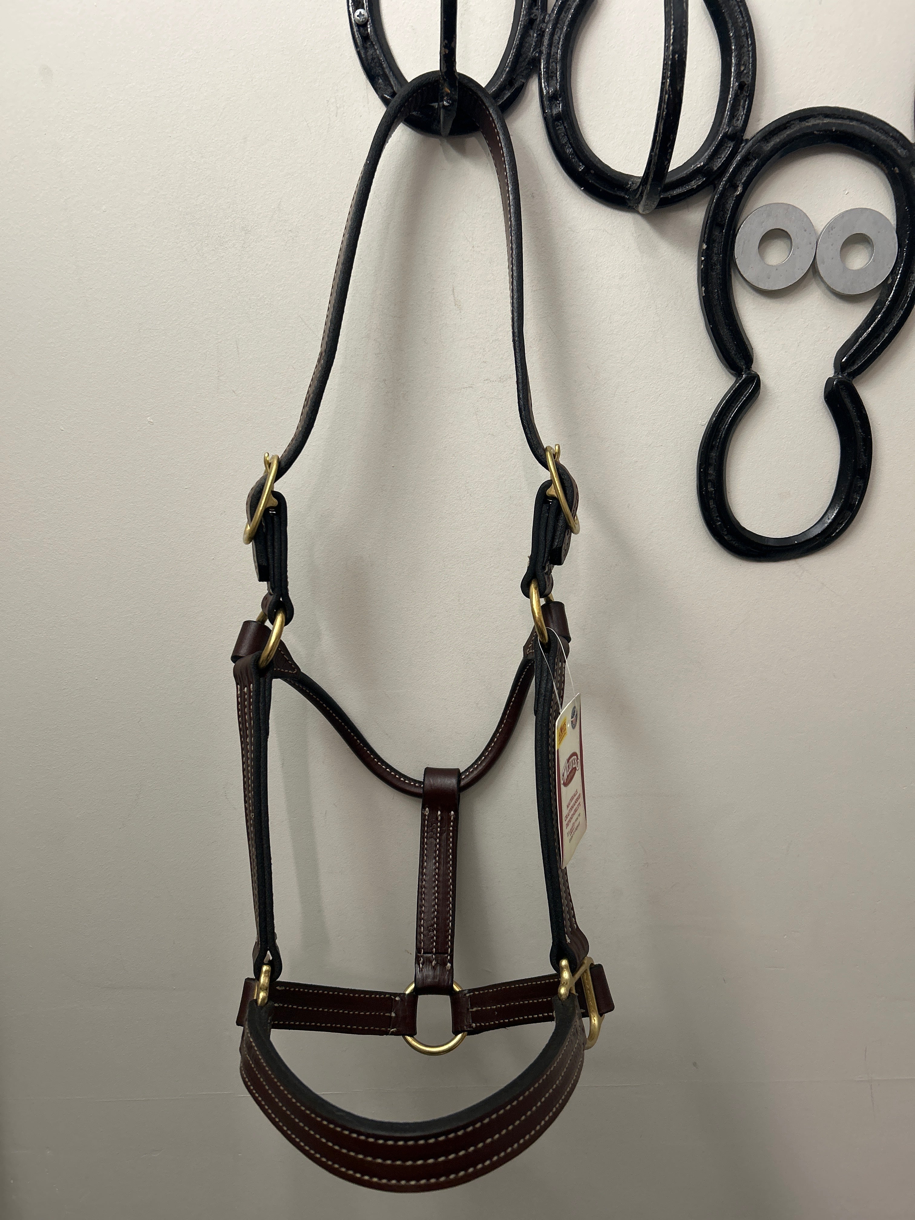Weaver Thoroughbred Halter Horse-Horse Halters-Consignment-Evolution Equestrian Co.
