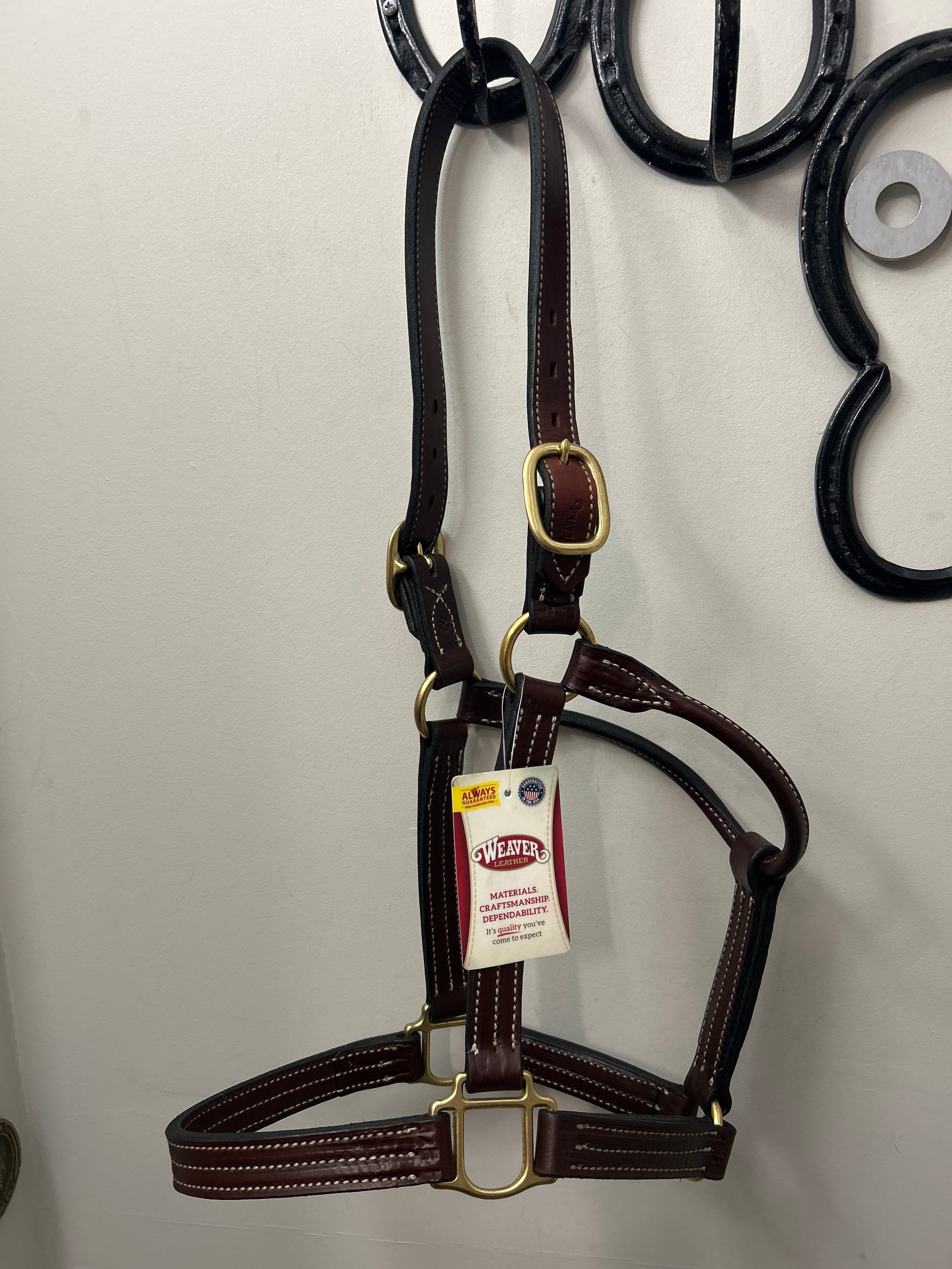 Weaver Thoroughbred Halter Horse-Horse Halters-Consignment-Evolution Equestrian Co.