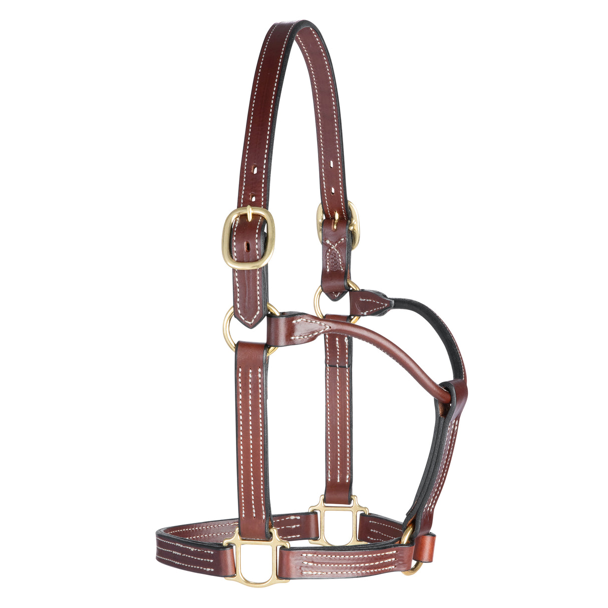 Weaver Thoroughbred Halter Horse-Horse Halters-Consignment-Evolution Equestrian Co.