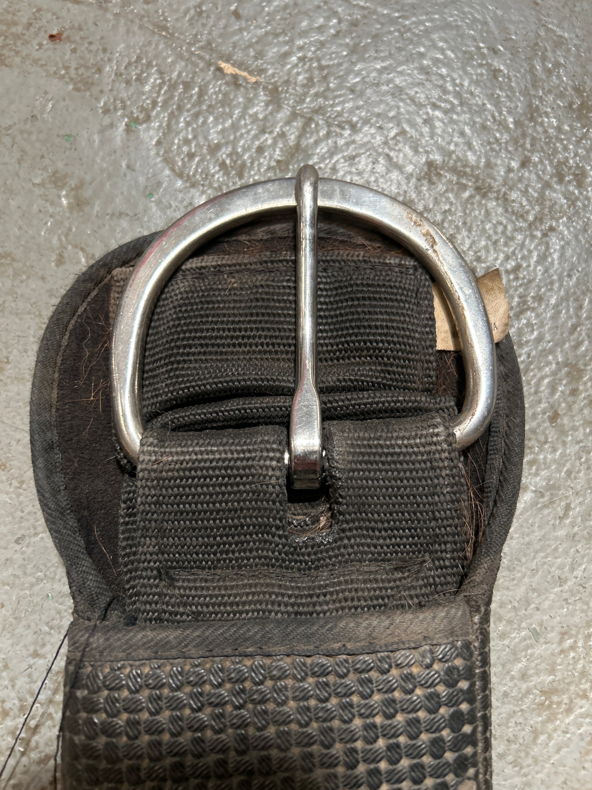 Western Basic Roper Cinch 32"-Western Cinch-Consignment-Evolution Equestrian Co.