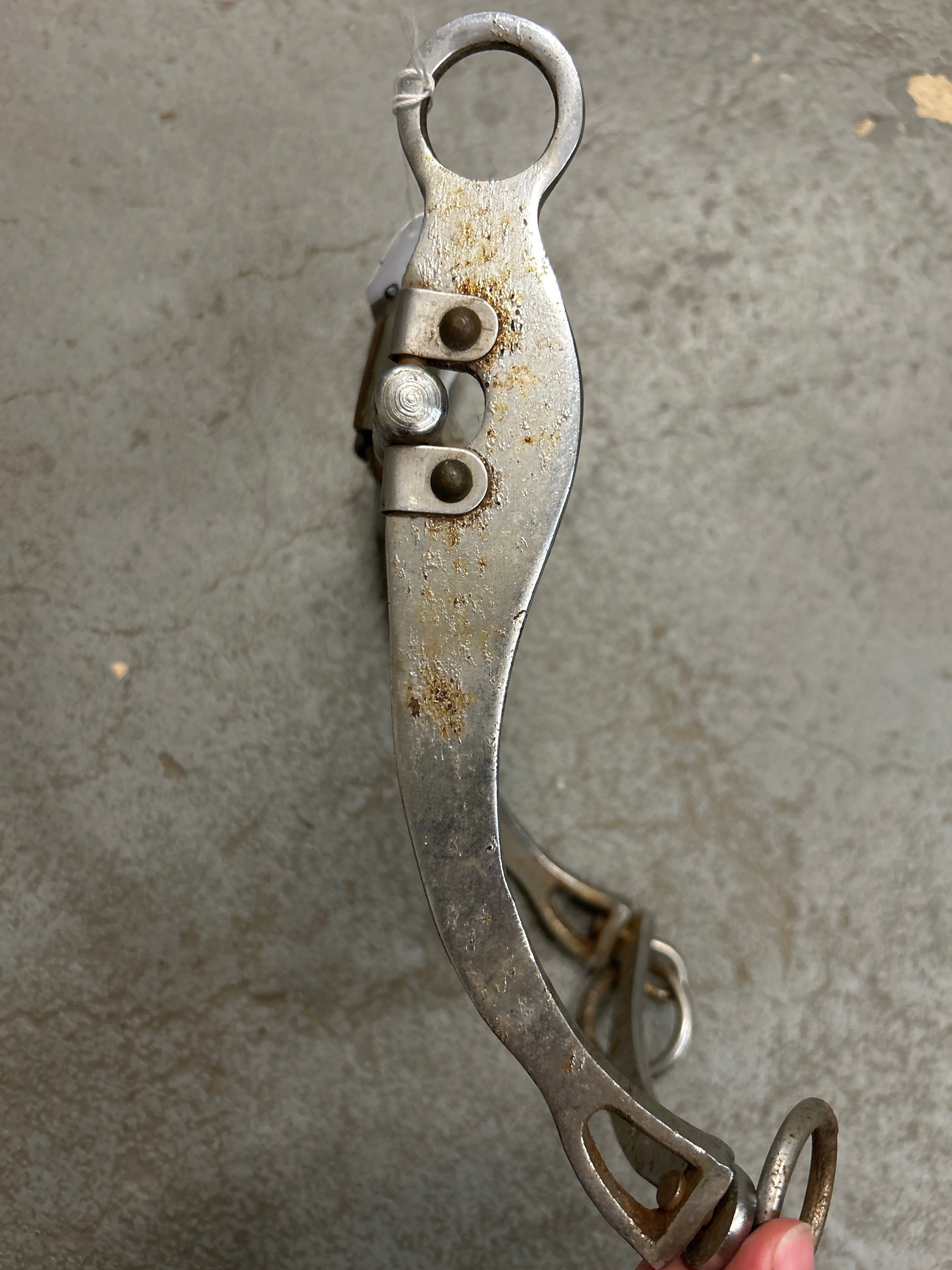 Western Bit with Cricket-Bit-Consignment-Evolution Equestrian Co.