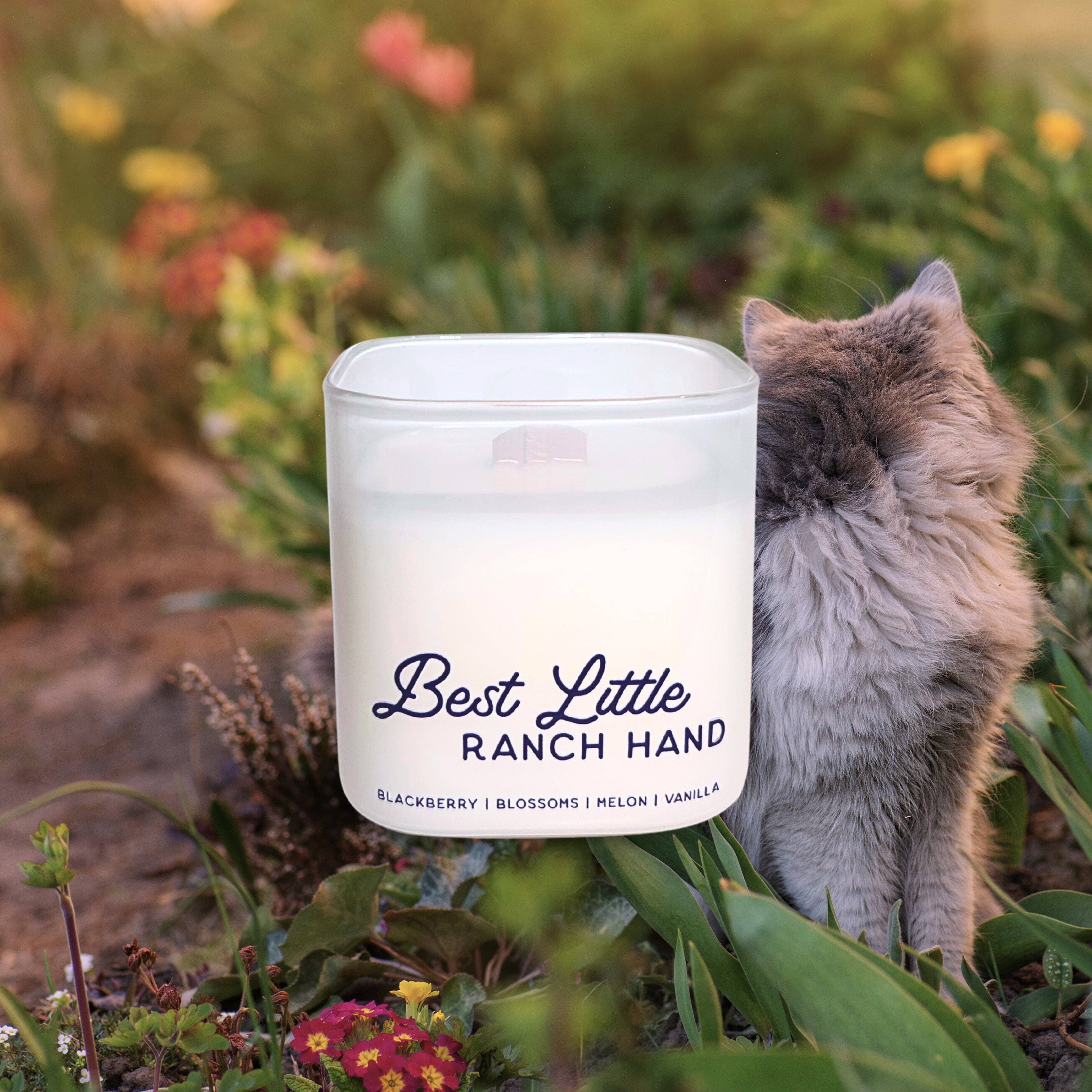Western Hive - Candle | Best Little Ranch Hand - Berry Blossom: 8 oz-Western Hive-Evolution Equestrian Co.