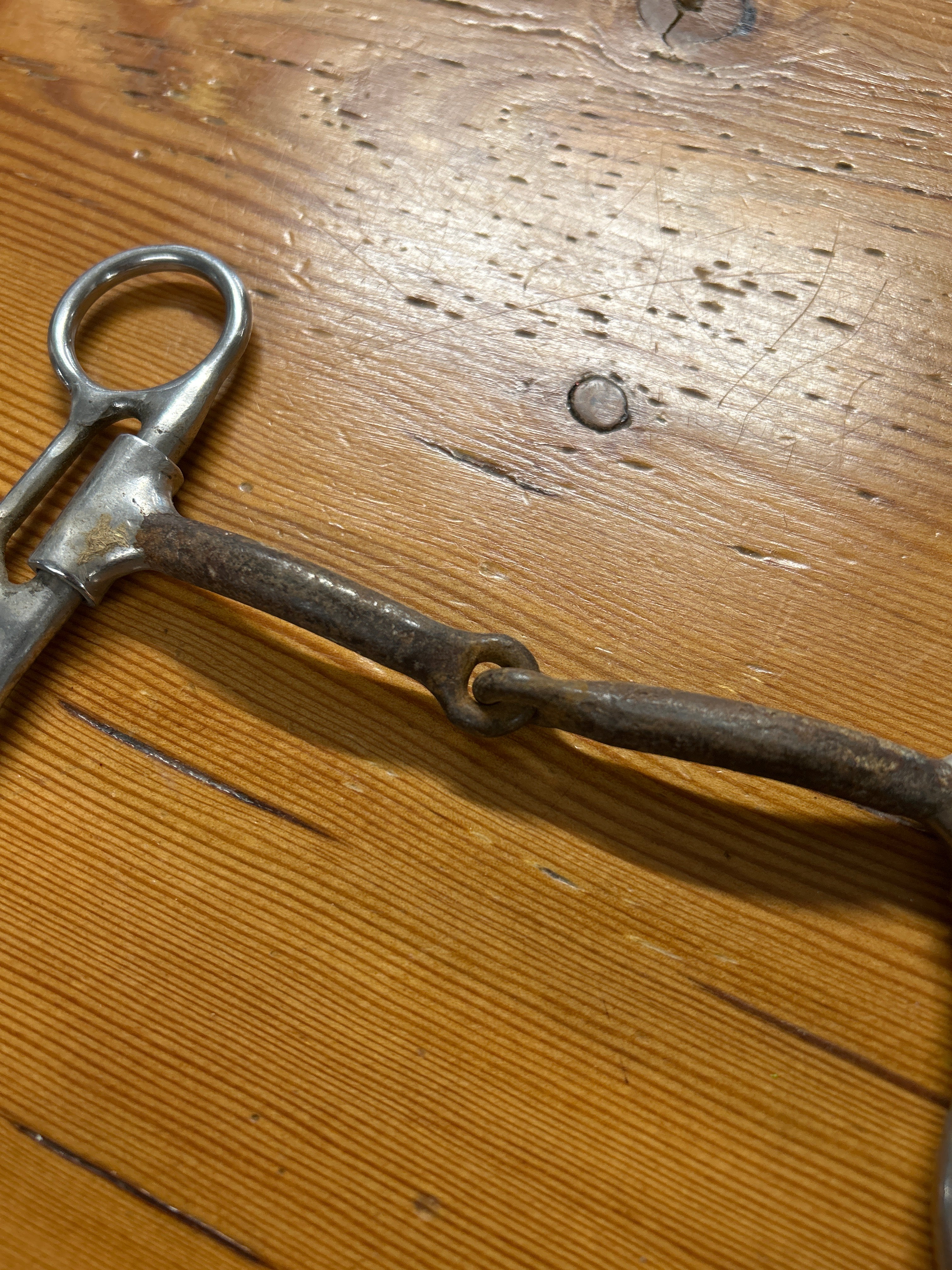 Western Transition Bit 5"-Bits-Consignment-Evolution Equestrian Co.