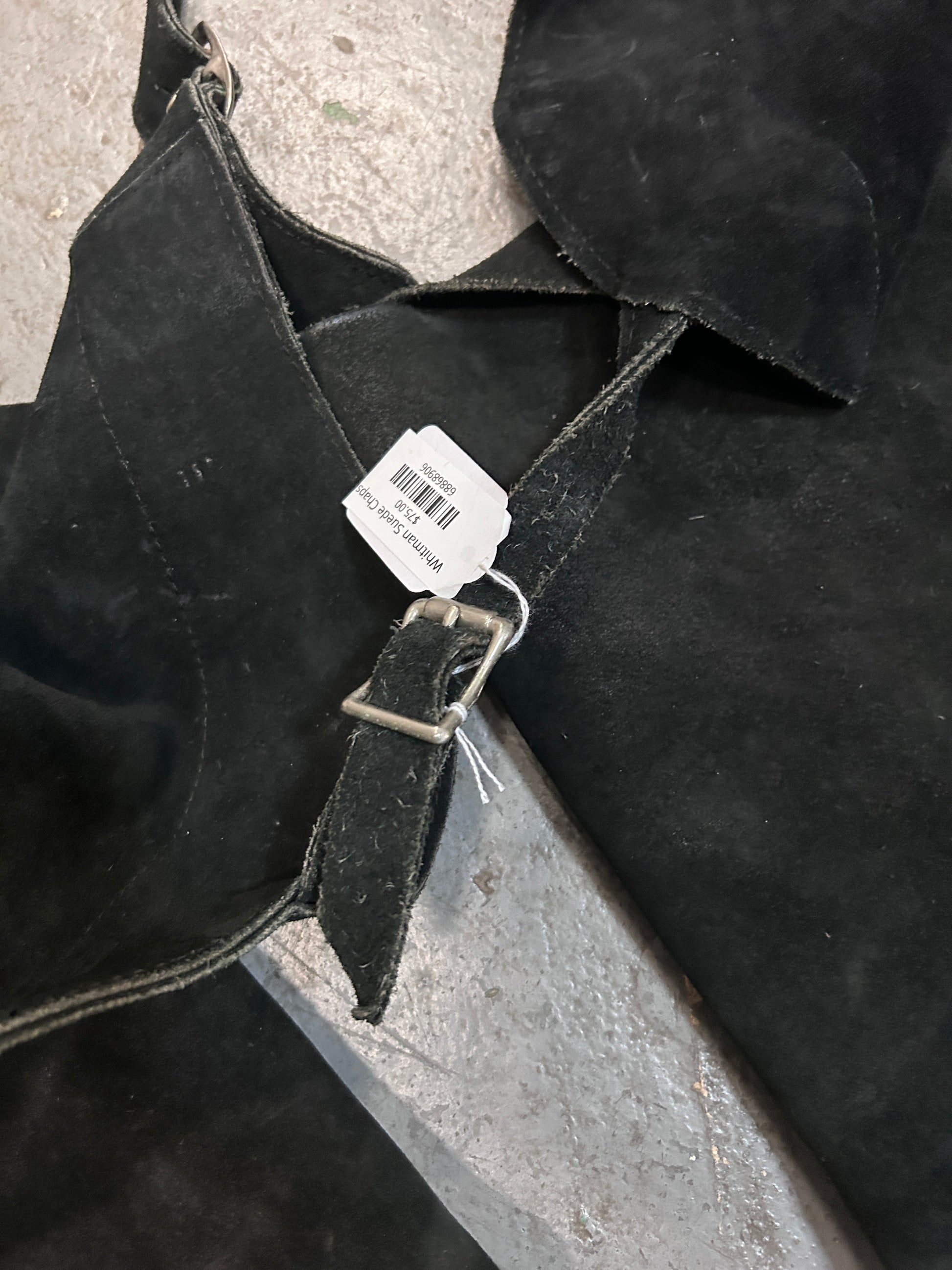 Whitman Suede Chaps-Chaps-Consignment-Evolution Equestrian Co.