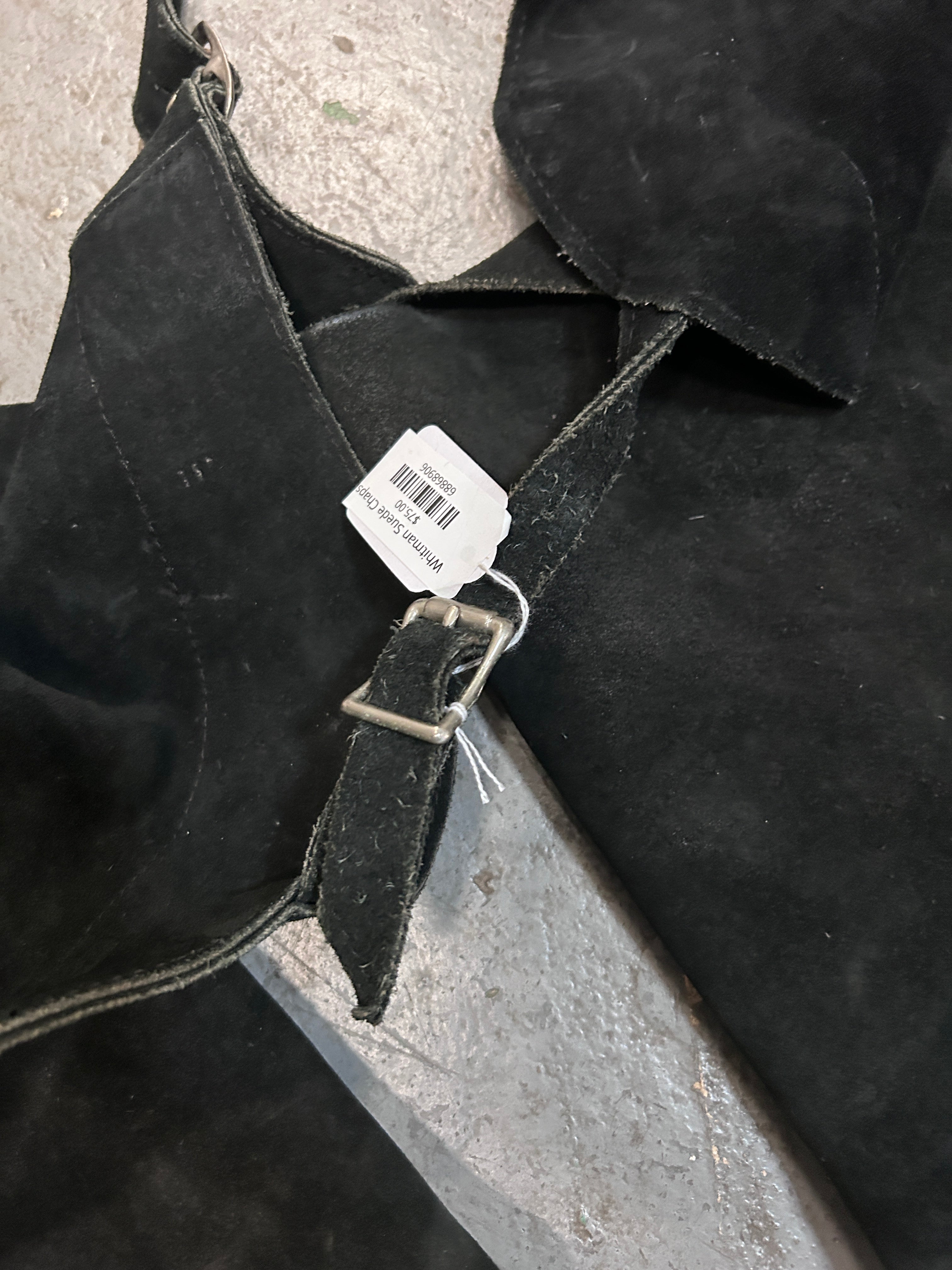 Whitman Suede Chaps-Chaps-Consignment-Evolution Equestrian Co.