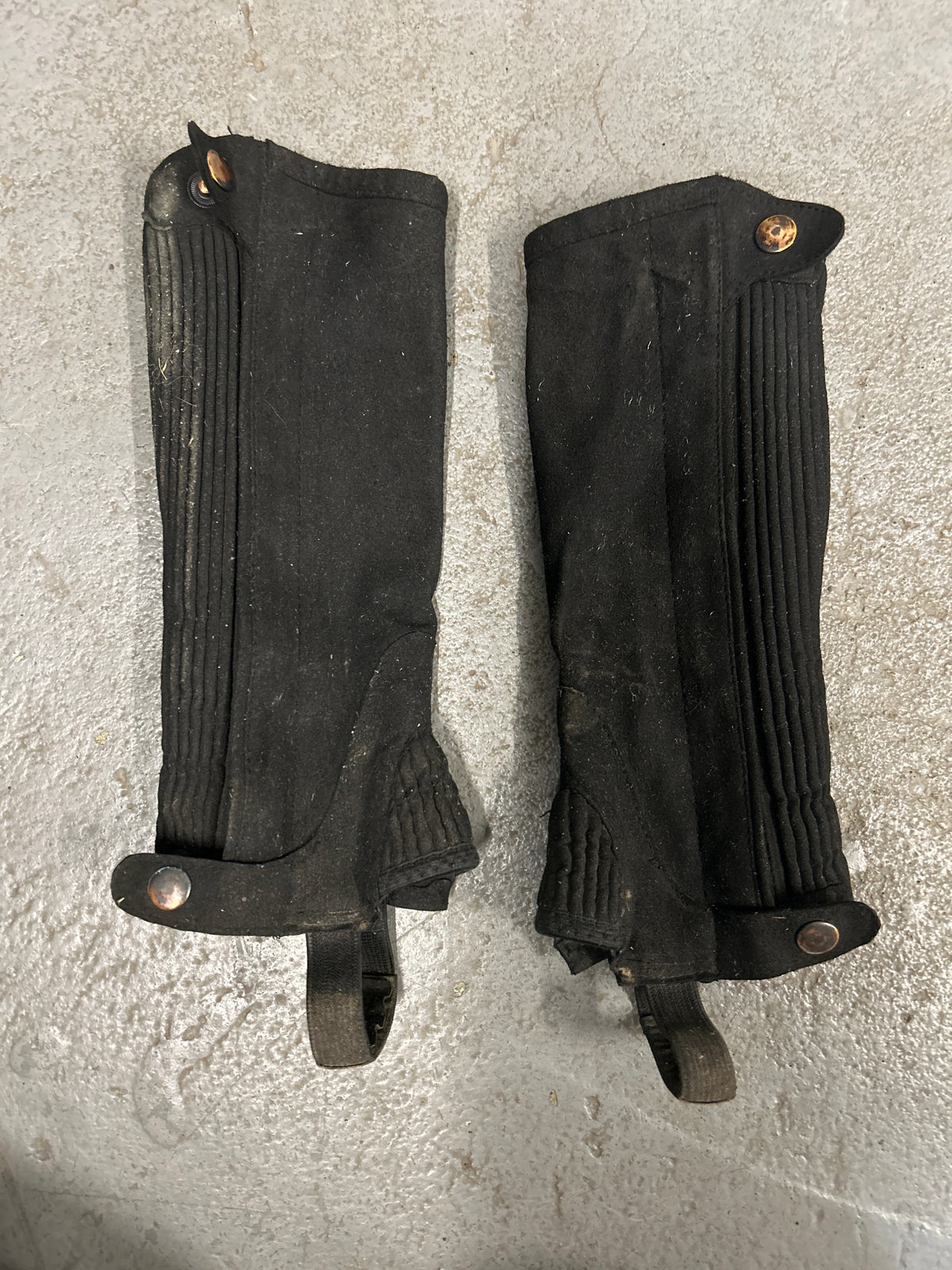 Youth Suede Half Chaps 8-Paddock Boots-Consignment-Evolution Equestrian Co.