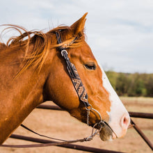 Load image into Gallery viewer, Rodeo Drive - Two Tone Feather &amp; Arrow Studded One Ear Headstall
