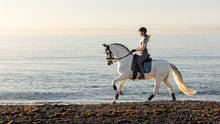 Load image into Gallery viewer, LeMieux Earth Collection Dressage Saddle Pad Ocean
