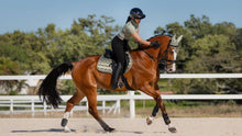 Load image into Gallery viewer, LeMieux Loire Classic Fern Close Contact Saddle Pad
