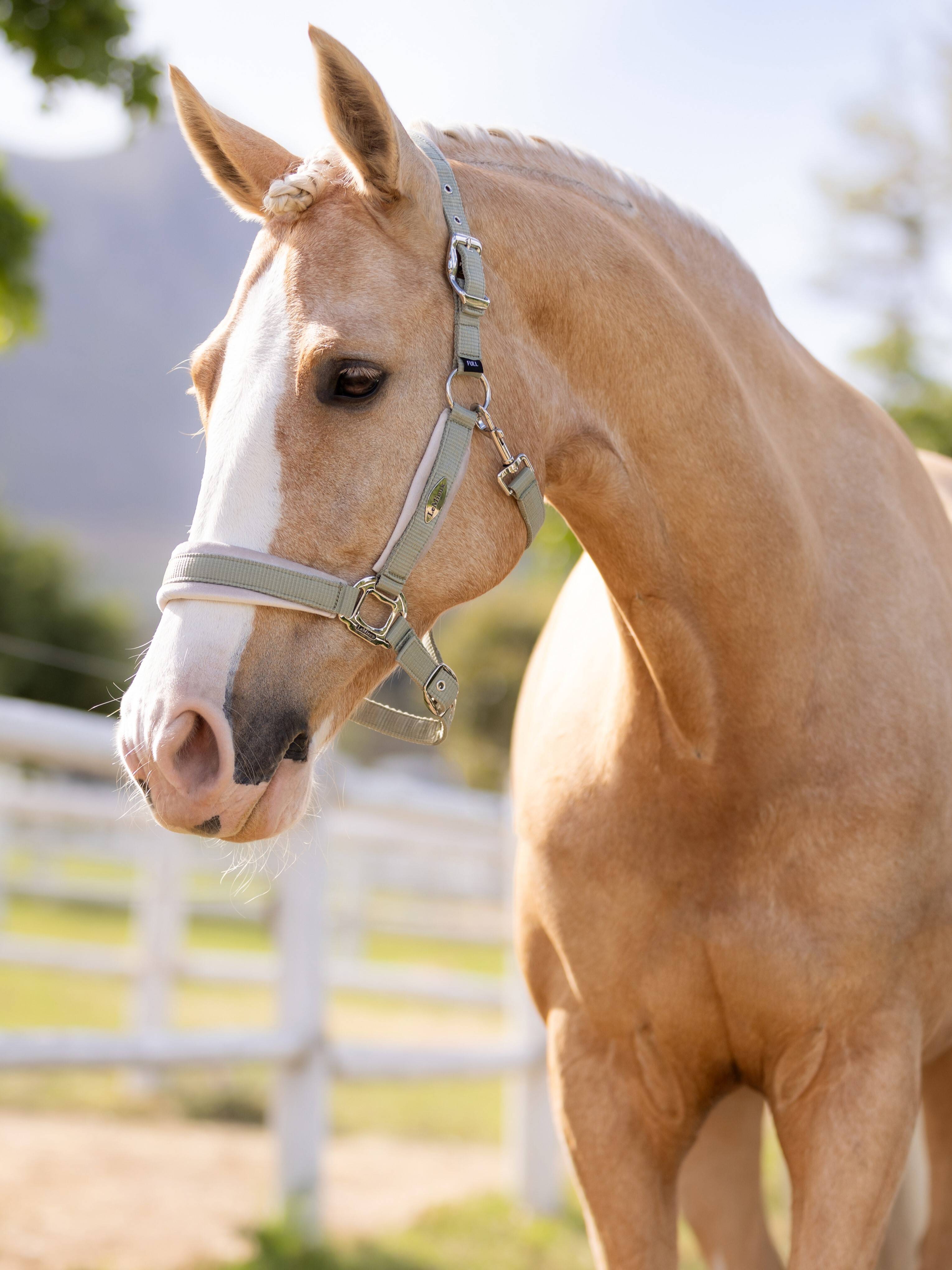 LeMieux Equestrian Australia - Saddle Blankets, Head Collars, Bandages