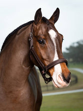 Load image into Gallery viewer, LeMieux Fancy Stitched Leather Halter
