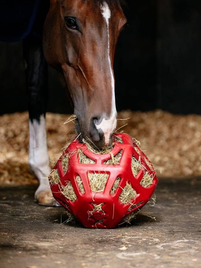 LeMieux Hay Ball-Stable Supplies-LeMieux-Chilli-Evolution Equestrian Co.