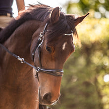 Load image into Gallery viewer, FR Equestrian Bitless Multi-Bridle
