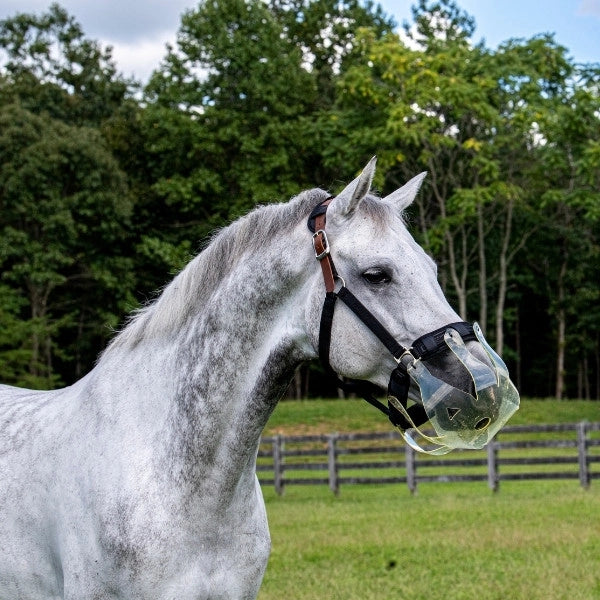 ThinLine Flexible Filly Grazing Muzzle with Halter-Muzzle-Consignment-Evolution Equestrian Co.