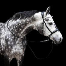 Load image into Gallery viewer, FR Equestrian Bitless Multi-Bridle
